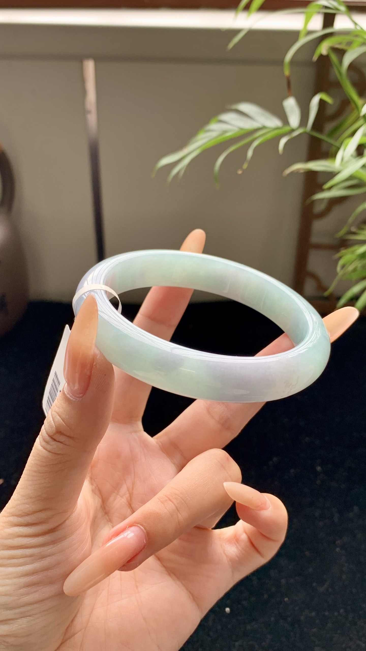 晴底正圈成品 HYY-934 尺寸：60-12-8