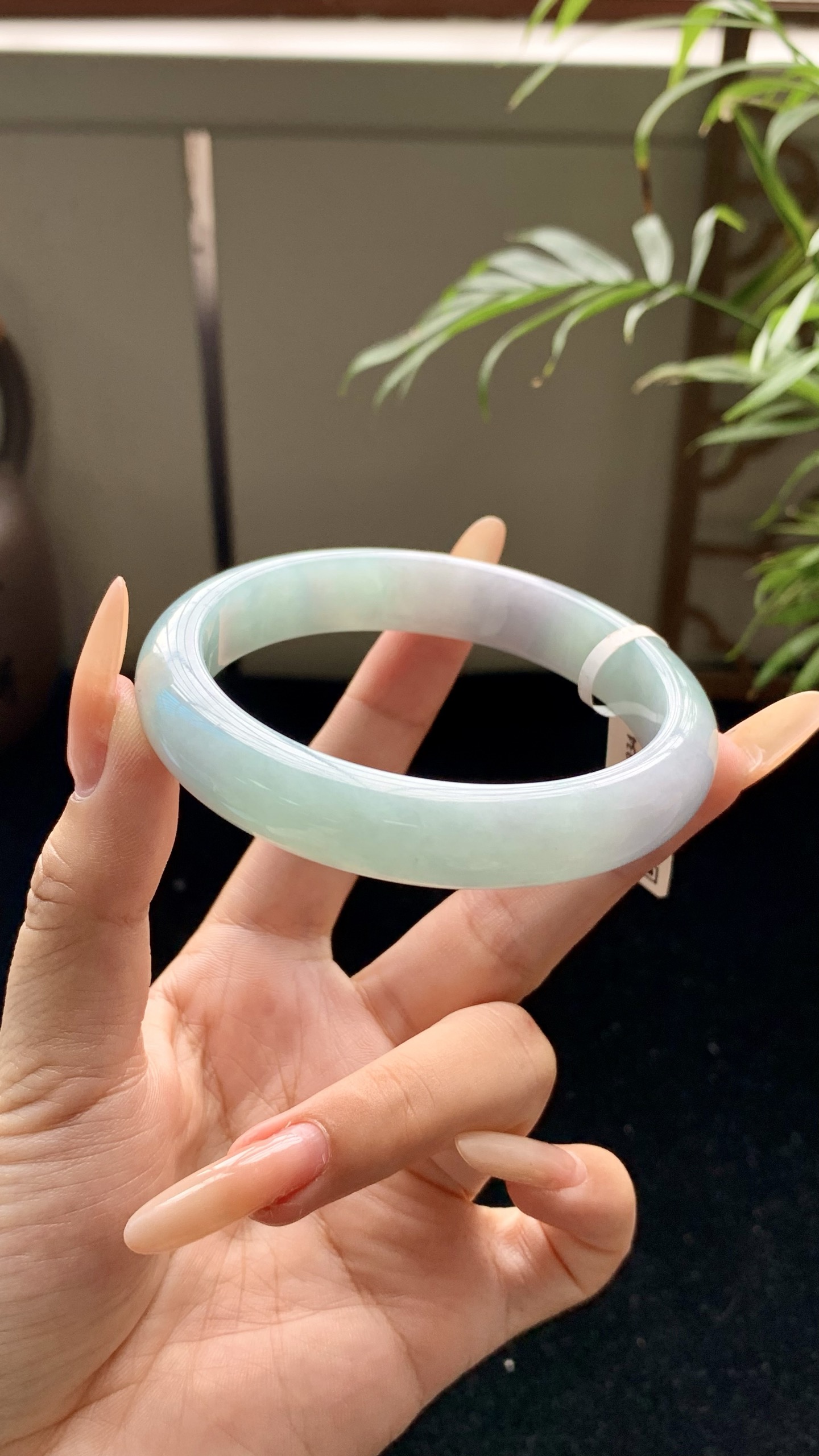 晴底正圈成品 HYY-934 尺寸：60-12-8