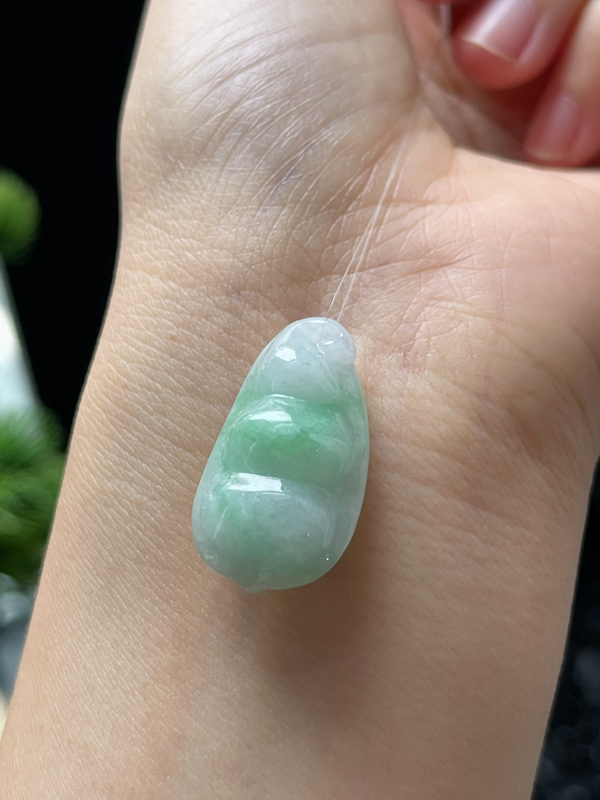 翡翠糯化种淡绿色四季豆挂件