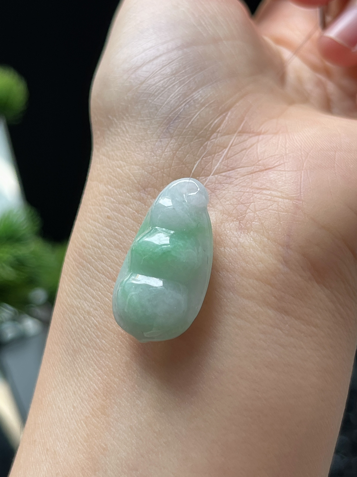 翡翠糯化种淡绿色四季豆挂件