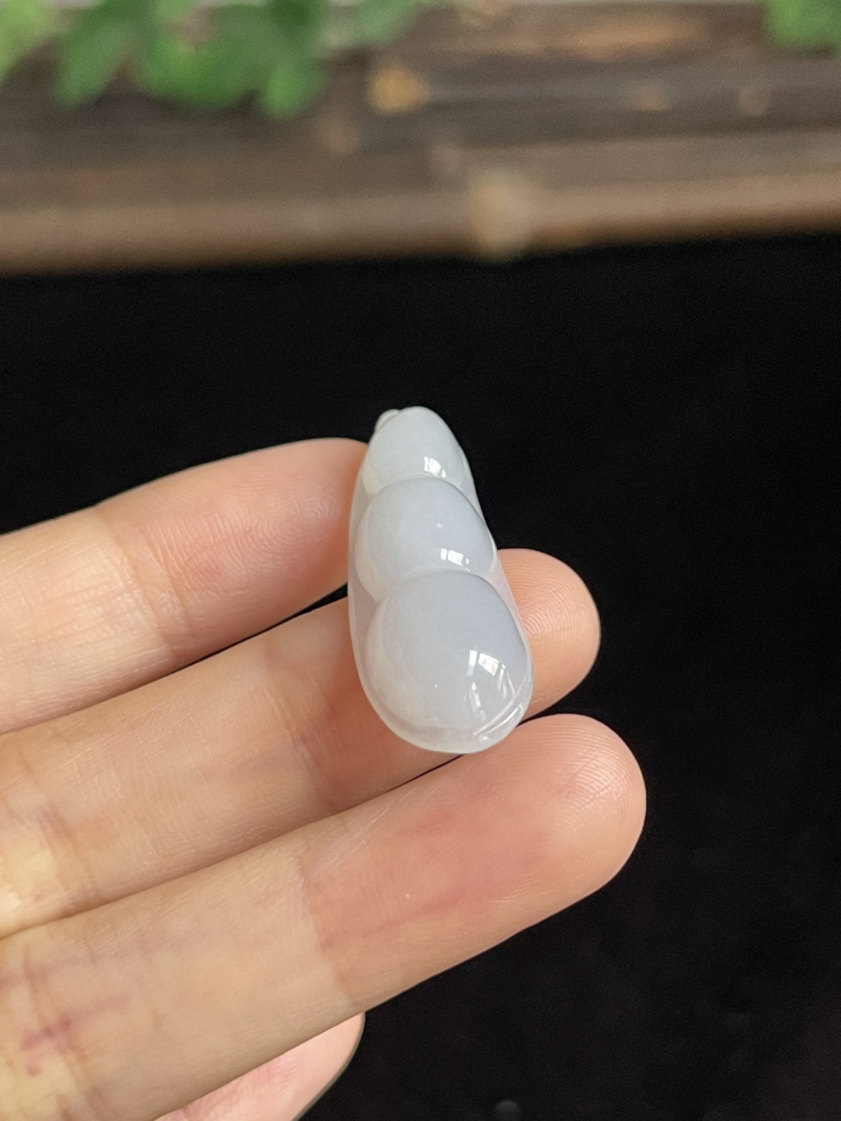 翡翠四季豆
