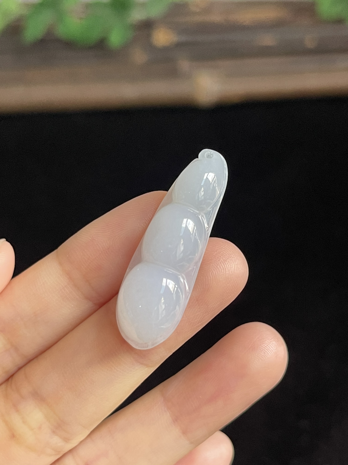 翡翠四季豆