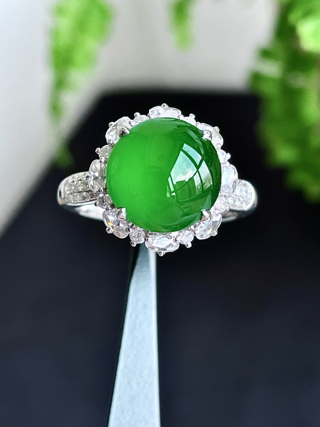 阳绿蛋面戒指, 18k金镶嵌 无裂,性比高,14.2-14.2-9.8,10.5-10.5-3,1