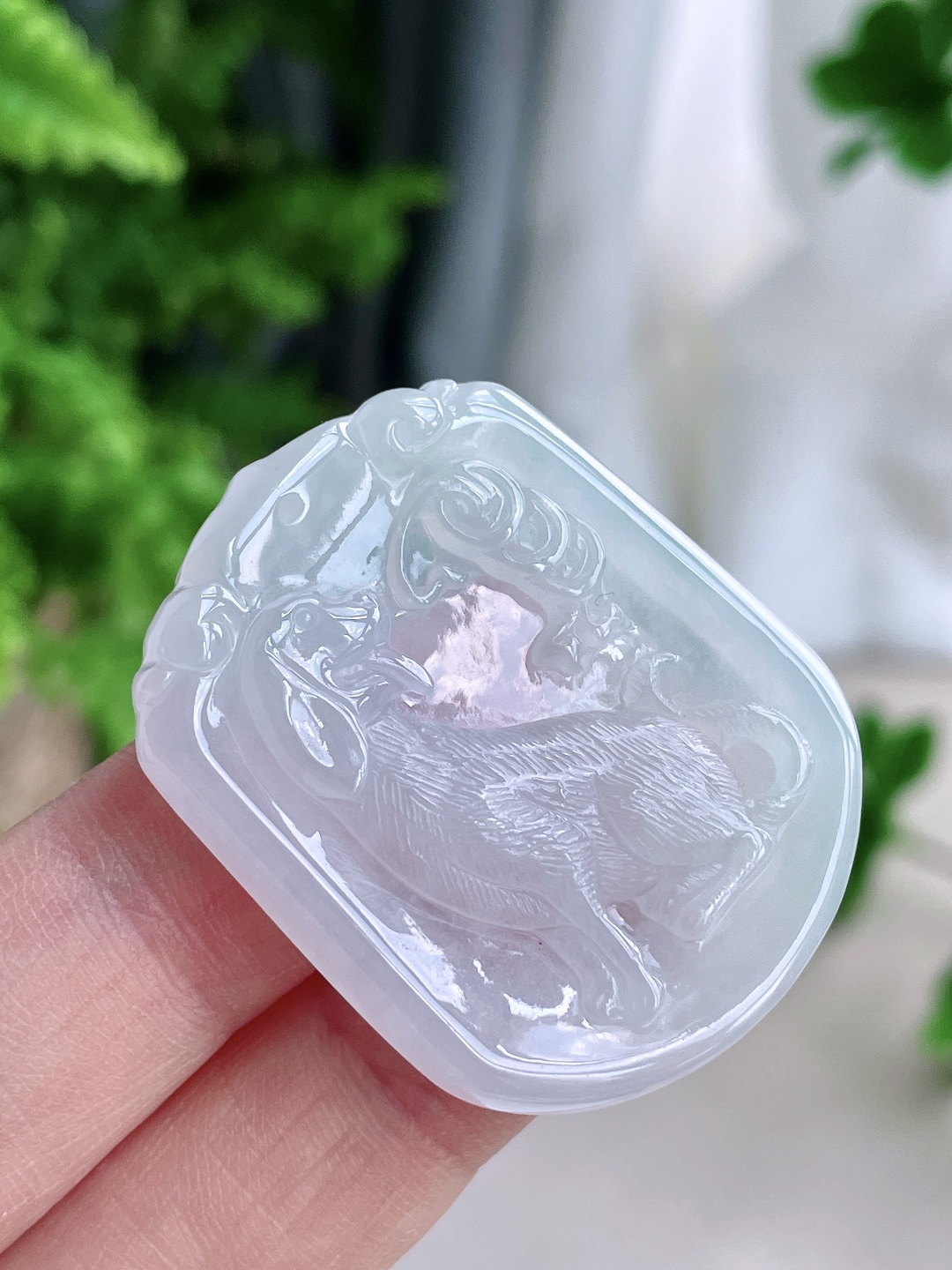 糯冰生肖狗牌吊坠,缅料,无裂,性比高,尺寸40-33-5.2,重量13.5克