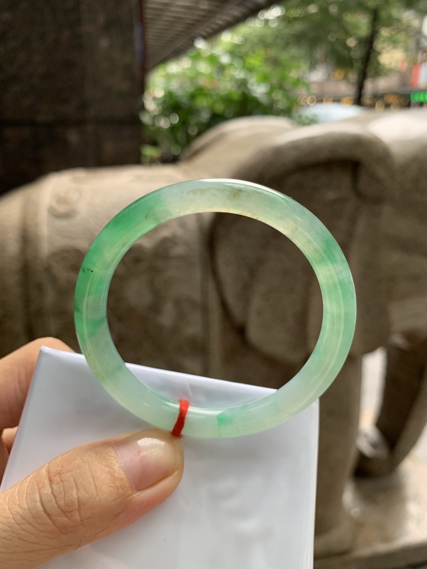 冰飘绿美人条,50.1-6.9-6.5,0827-273-33,打灯细纹，表皮微扣