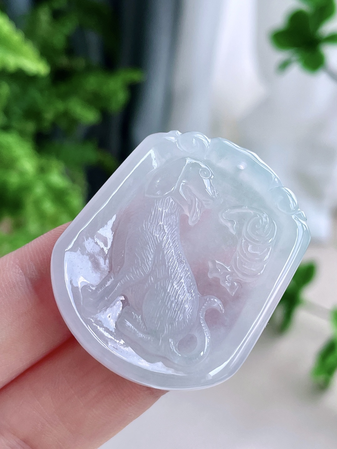 糯冰生肖狗牌吊坠,缅料,无裂,性比高,尺寸40-33-5.2,重量13.5克