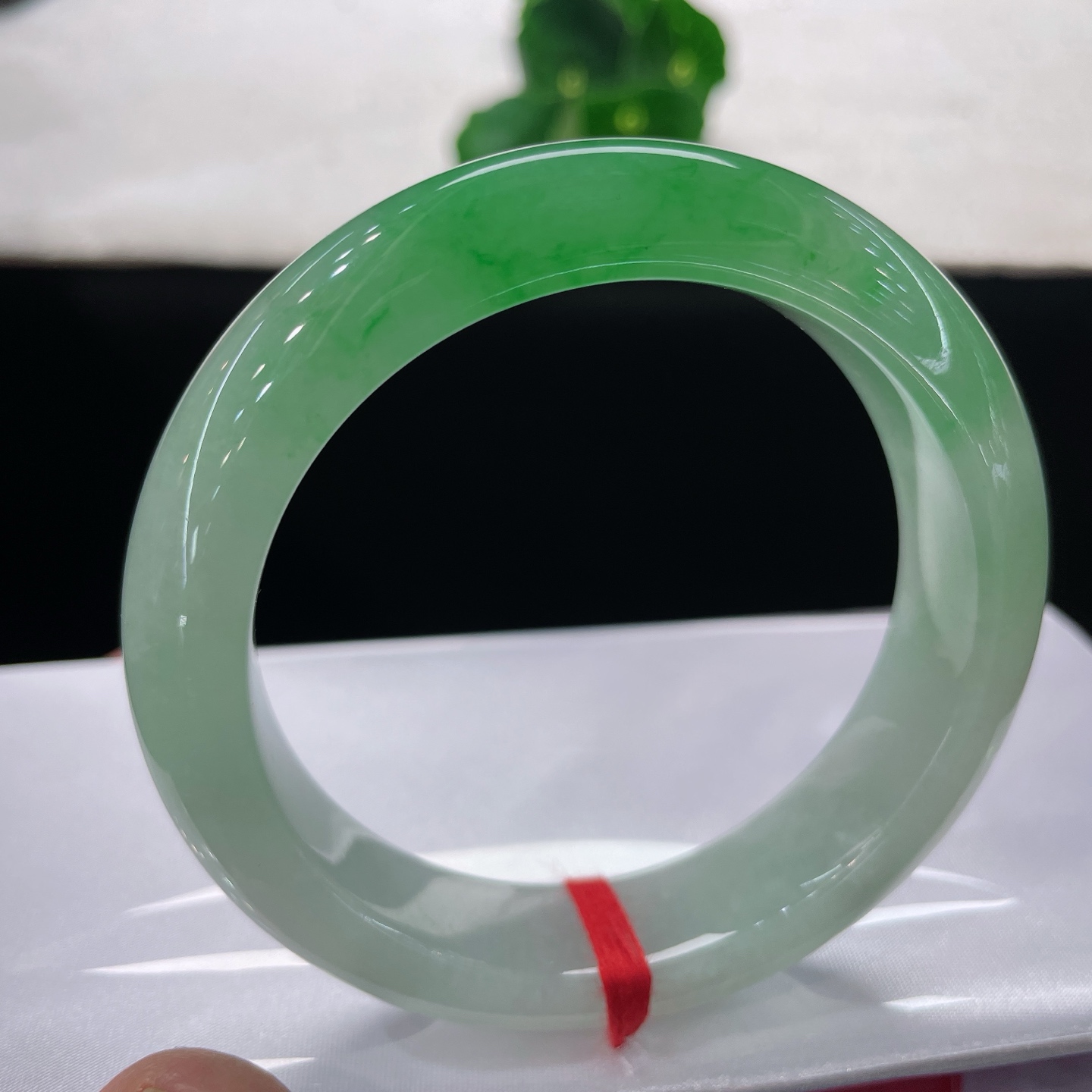 翡翠手镯 圈口59.6/14.8/10.1，白底正阳绿正圈，69/60可戴，半圈阳绿，腕间一整个春天，无裂
