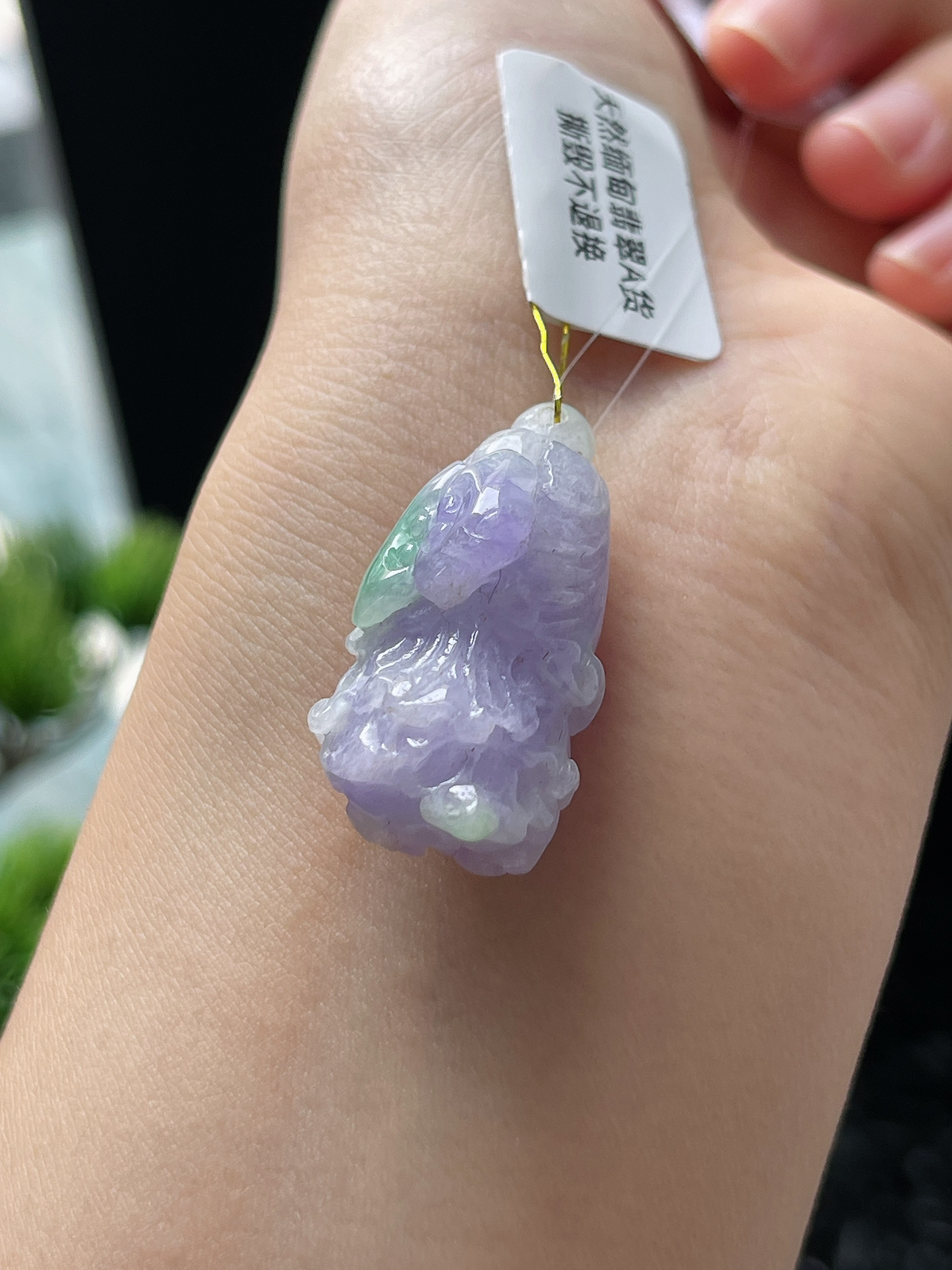 翡翠糯化种紫色玉白菜
