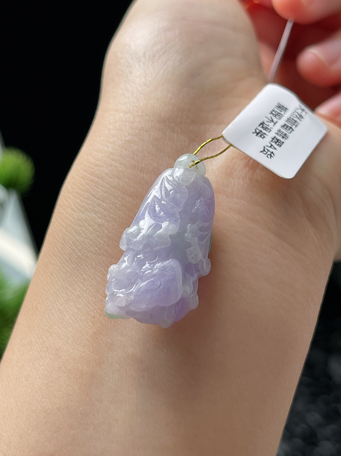 翡翠糯化种紫色玉白菜