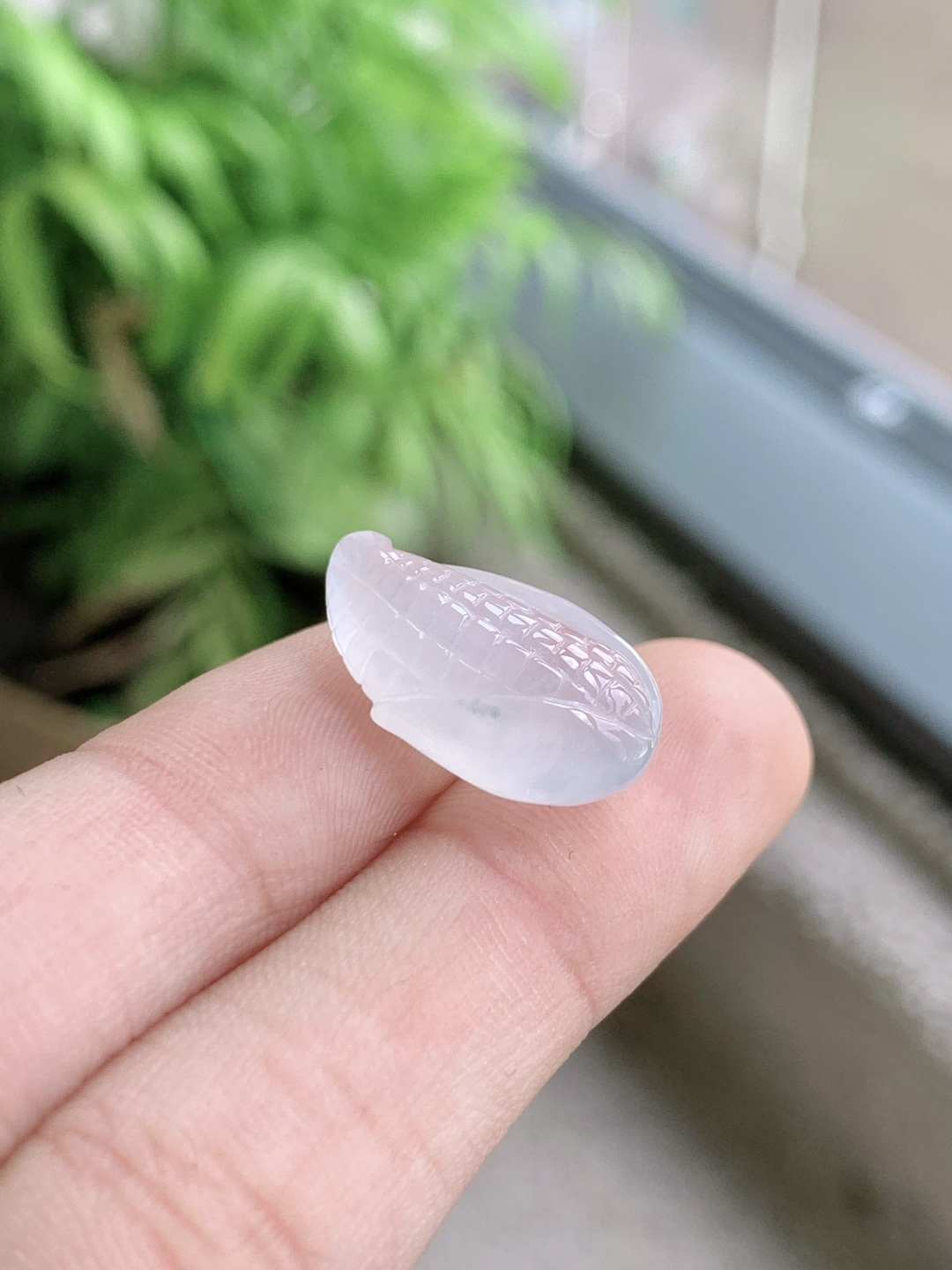 白冰玉米多子多福吊坠,无裂,性比高