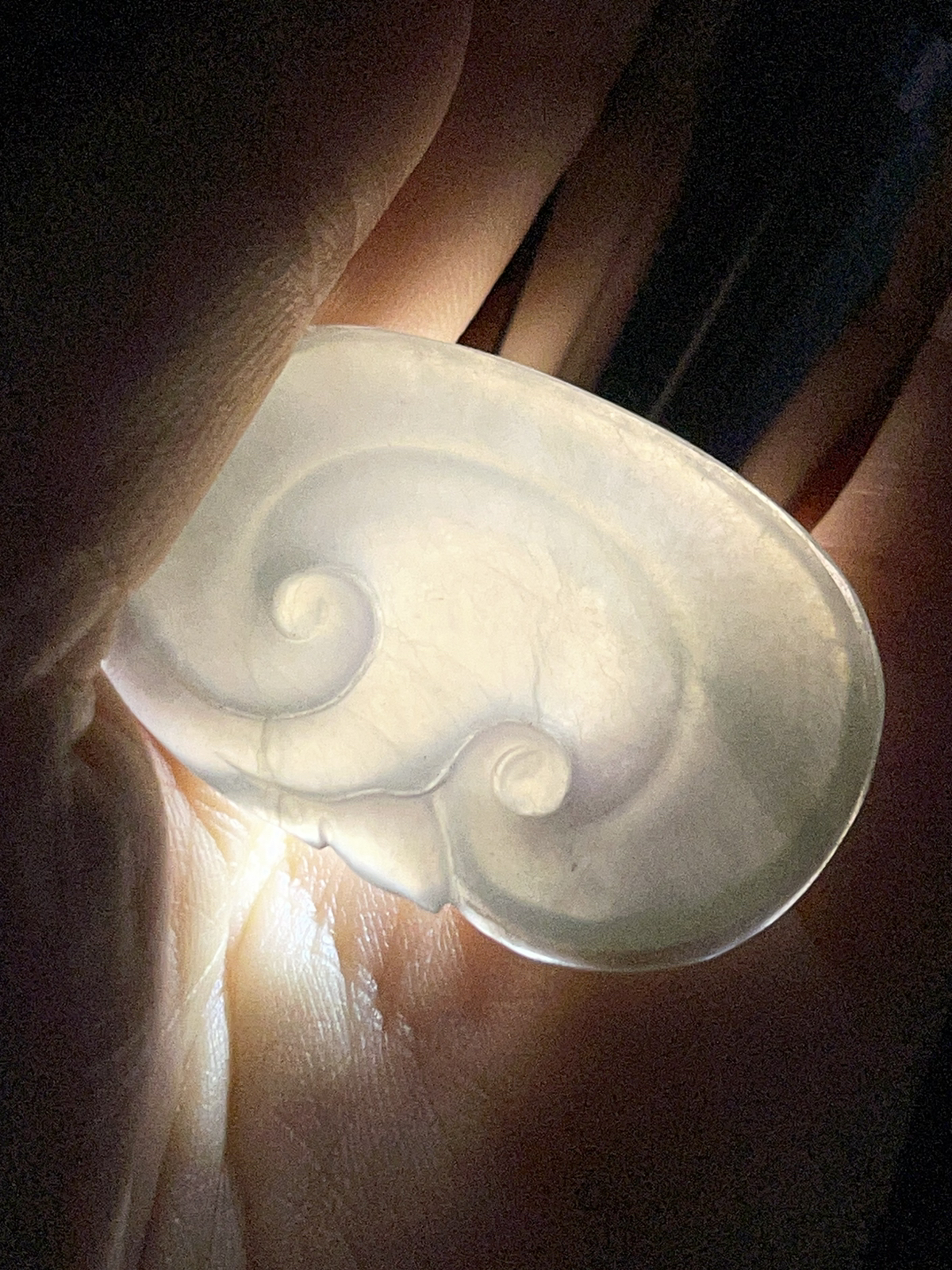 翡翠冰糯种白色如意