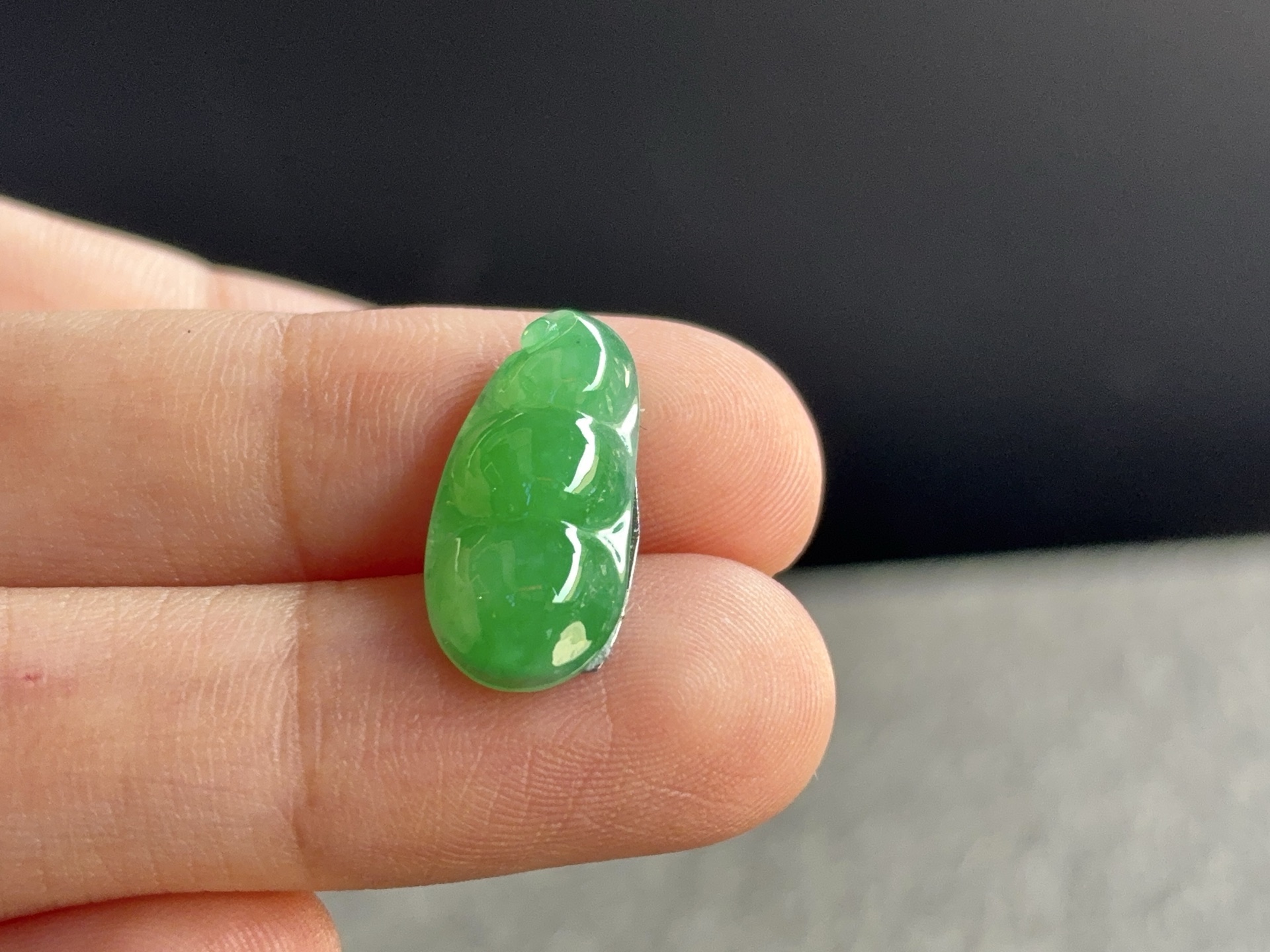 绿福豆 尺寸：16.5×8×3.2