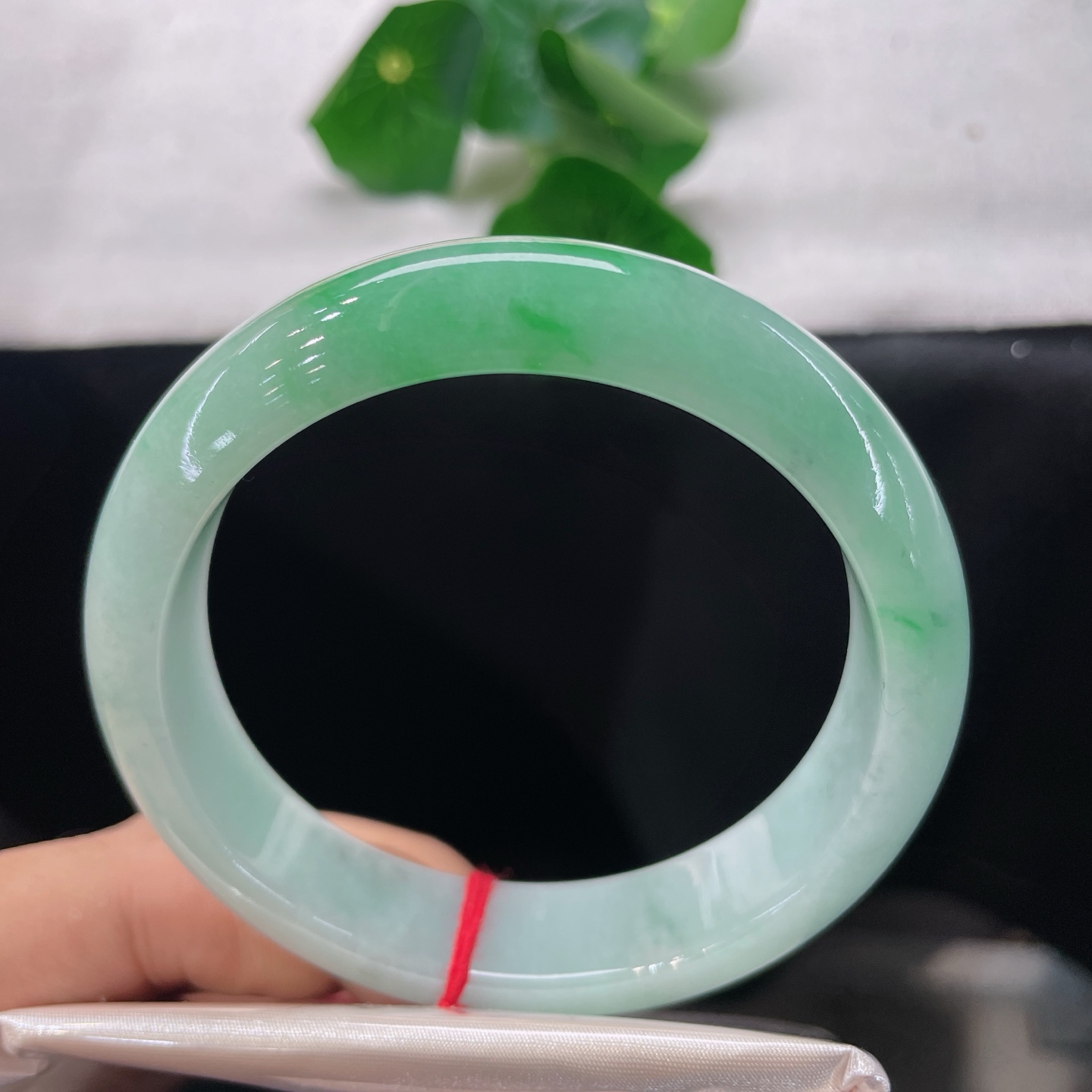 翡翠手镯 圈口59.7/14/8.7，正圈飘绿，59/60可戴，阳绿翠色如春日新柳，无裂