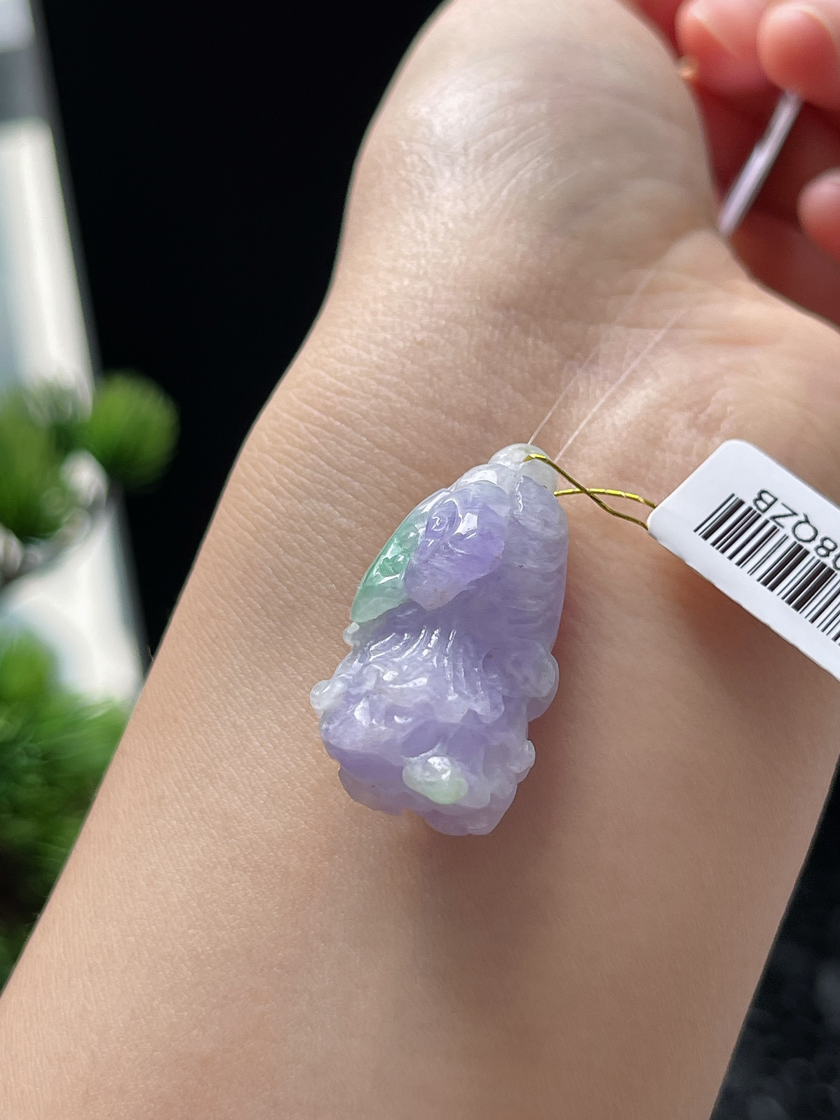 翡翠糯化种紫色玉白菜
