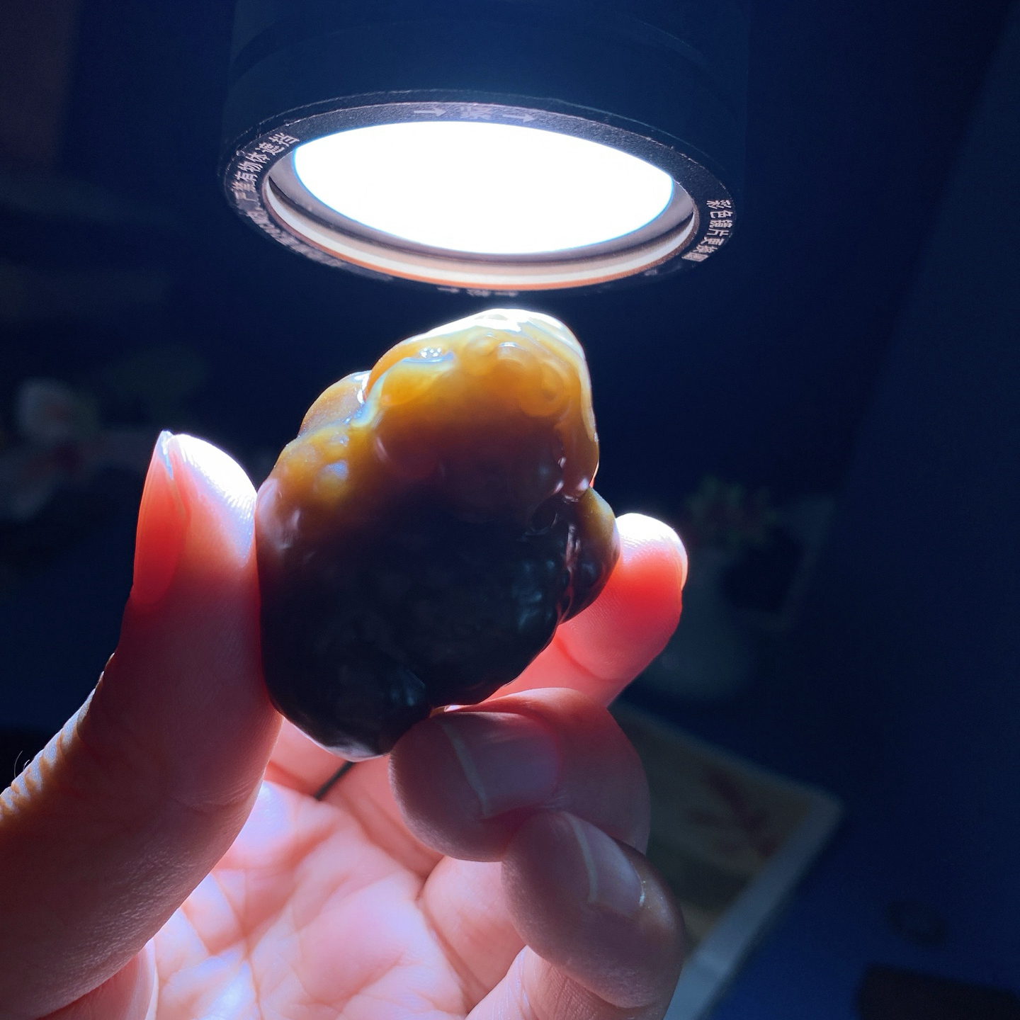 新疆和田玉且末糖富贵缠身金蟾挂件 尺寸43/32/22重40.5克！玉质细腻油润 底色纯净 脂粉好，品质好。lt260901