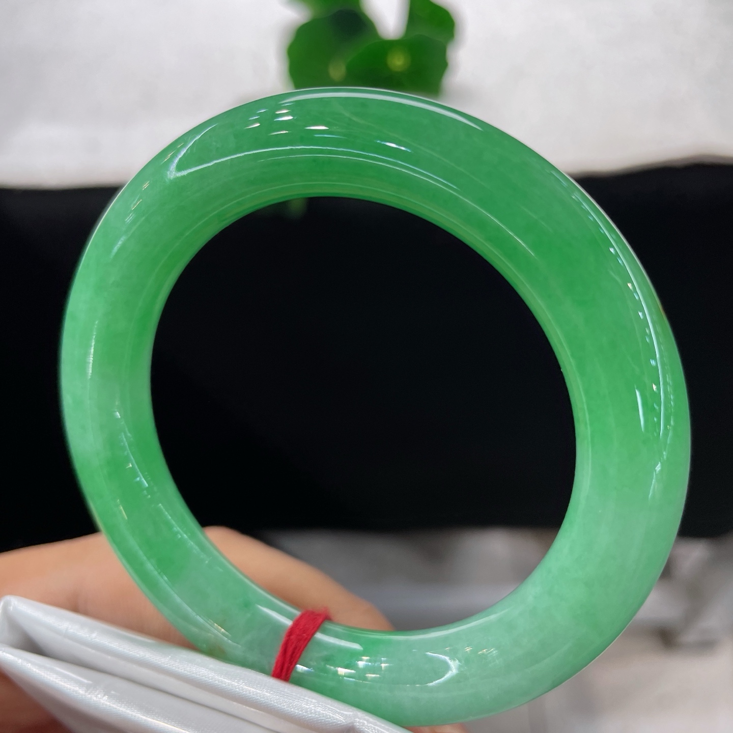 天然翡翠正圈，圈口53.3/10.4，满圈辣阳绿圆条，53/54可戴，团团碧色敛于圆条，似揽一汪春山绿意，无裂。