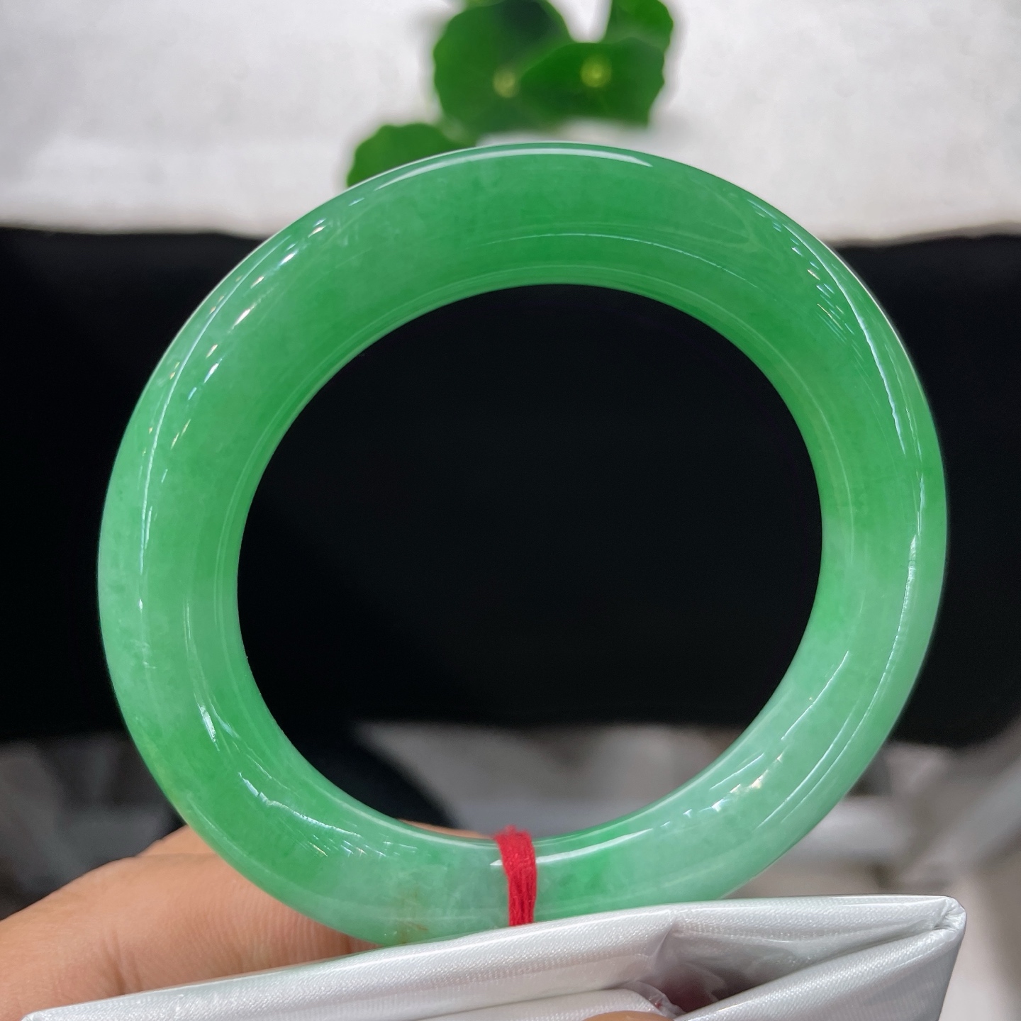 天然翡翠正圈，圈口53.3/10.4，满圈辣阳绿圆条，53/54可戴，团团碧色敛于圆条，似揽一汪春山绿意，无裂。