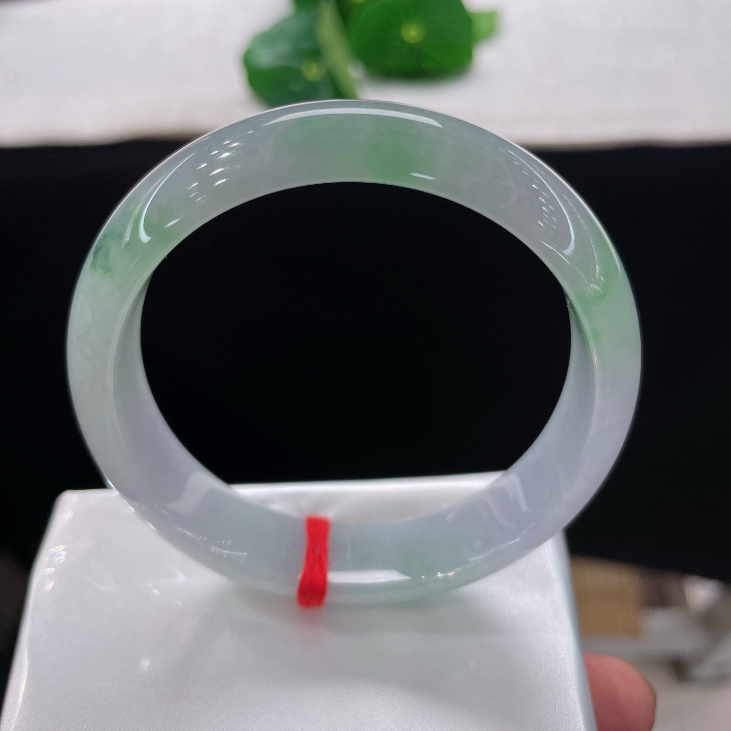 天然翡翠手镯，春彩正圈，54/55可戴，清透冰底晕染几缕柔翠，似薄雾漫过青涧。无裂