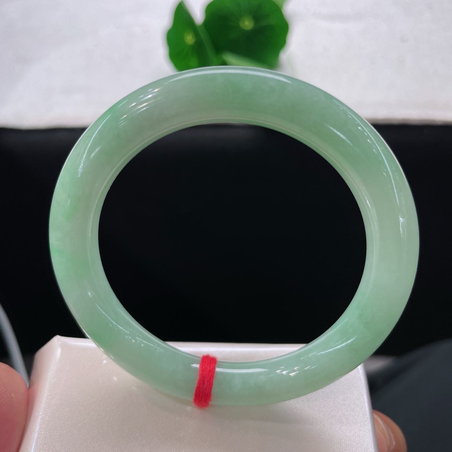 天然翡翠手镯，圈口53.7/9，果绿圆条，正圈55/56可戴，仿若薄雾绕林，质地清澈，浅淡的果绿温润匀净，种水莹润。无裂。