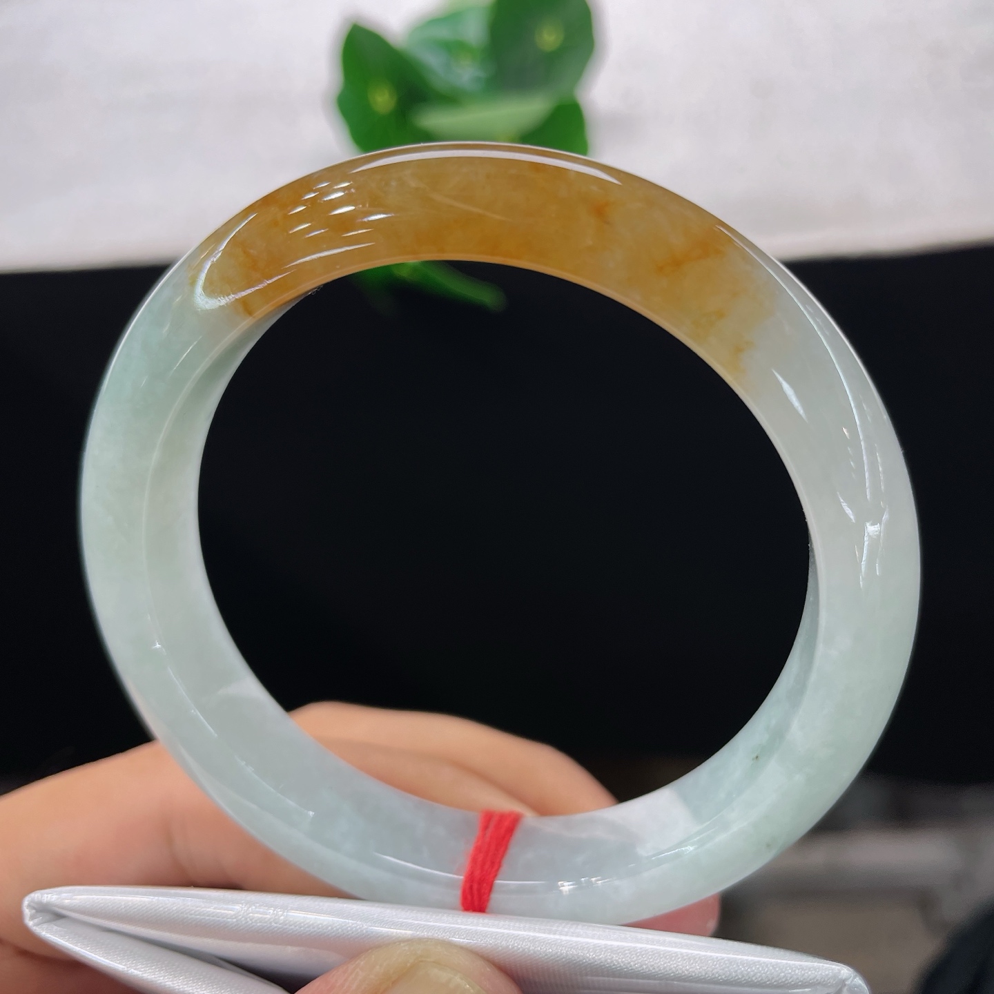 天然翡翠手镯 圈口57/11.4/8.3，黄翡正圈，56/57可戴，仿若秋潭融金，质地澄澈。浅白玉底凝一抹暖黄翡色。无裂。