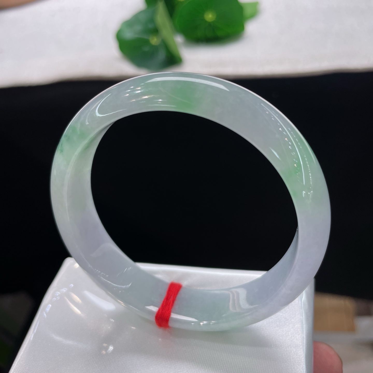 天然翡翠手镯，春彩正圈，54/55可戴，清透冰底晕染几缕柔翠，似薄雾漫过青涧。无裂