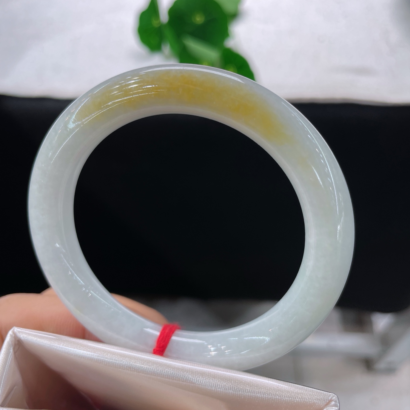 翡翠手镯 圈口54.3/10/9.6，黄翡圆条，正圈55/56可戴，仿若薄雾绕林，质地温润，底色清润泛白，一抹暖黄俏色悠然晕染。