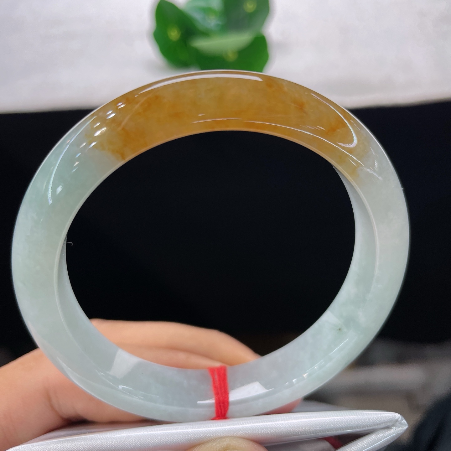 天然翡翠手镯 圈口57/11.4/8.3，黄翡正圈，56/57可戴，仿若秋潭融金，质地澄澈。浅白玉底凝一抹暖黄翡色。无裂。