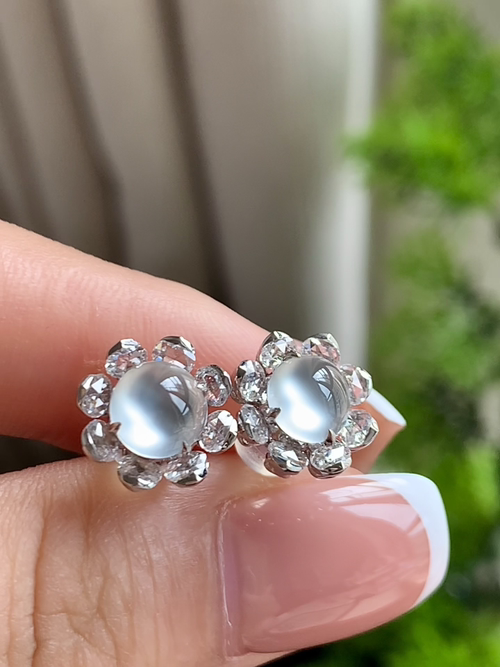 ️天然翡翠，冰种蛋18k金耳钉，尺寸6.2-4 yl95