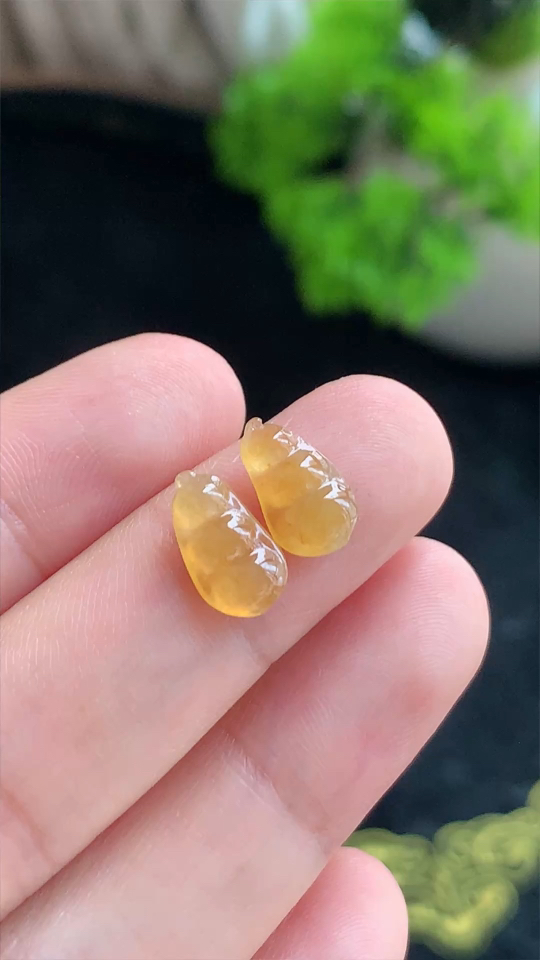 天然翡翠，福豆，冰种无裂，黄翡，尺寸11.2-6.3-2.8 al96