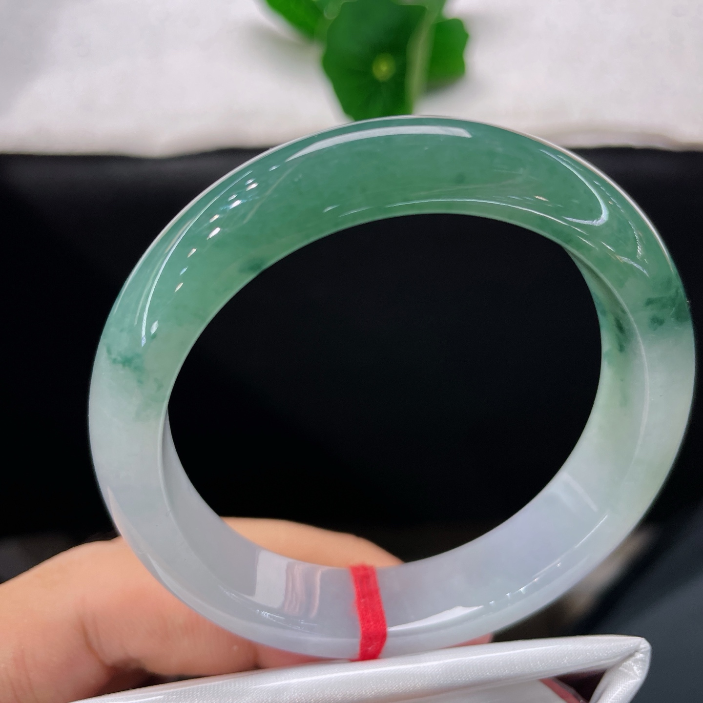 天然翡翠手镯 圈口55.3/12.6/8.2，半山半水正圈，半湖翠色半霜华，一镯揽尽山水意。无裂。