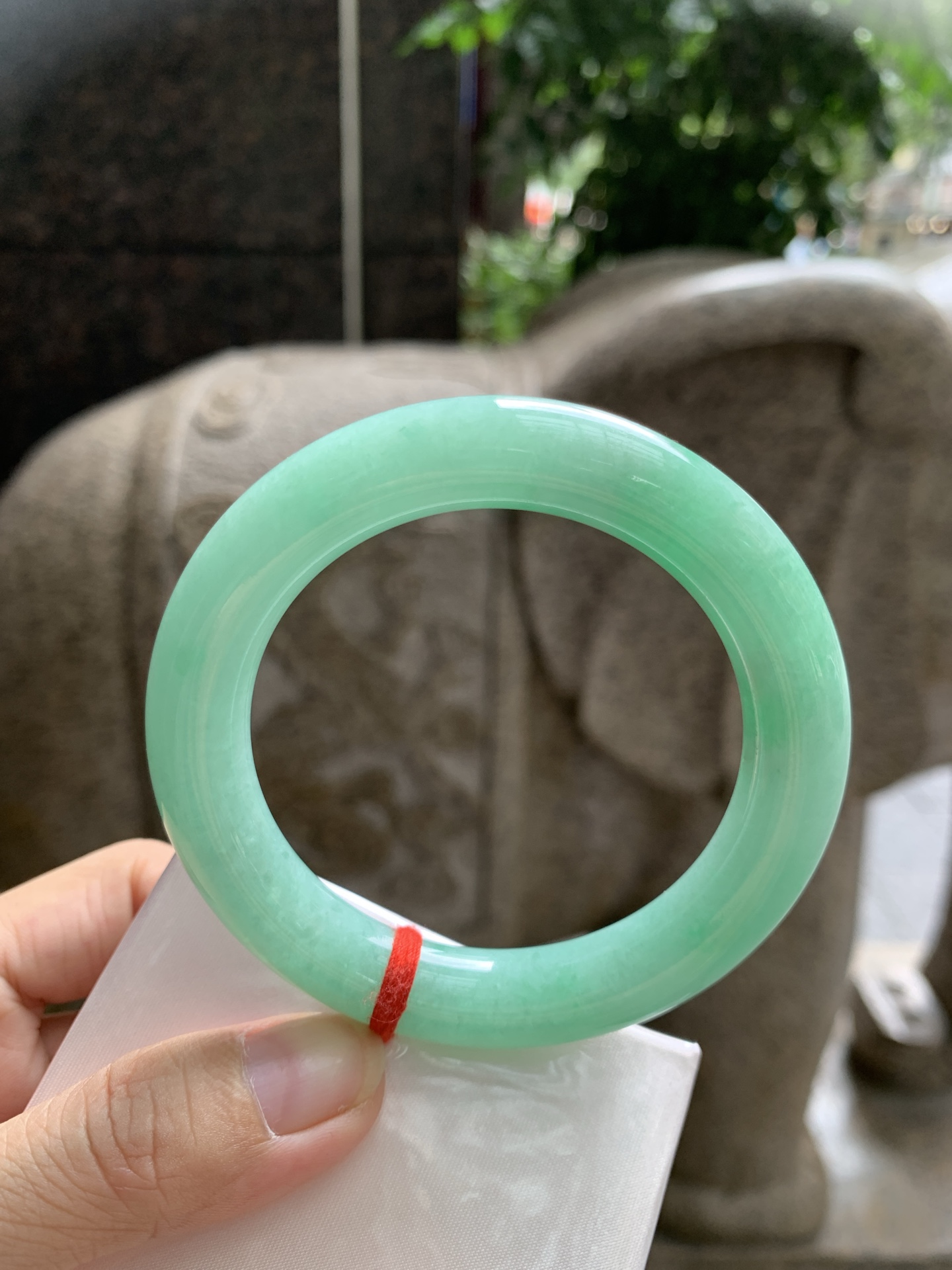 果绿圆条 55.8-11.2-11.4 0913-615-31 无裂