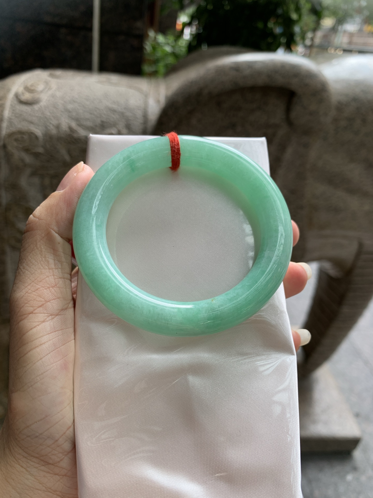 果绿圆条 55.8-11.2-11.4 0913-615-31 无裂