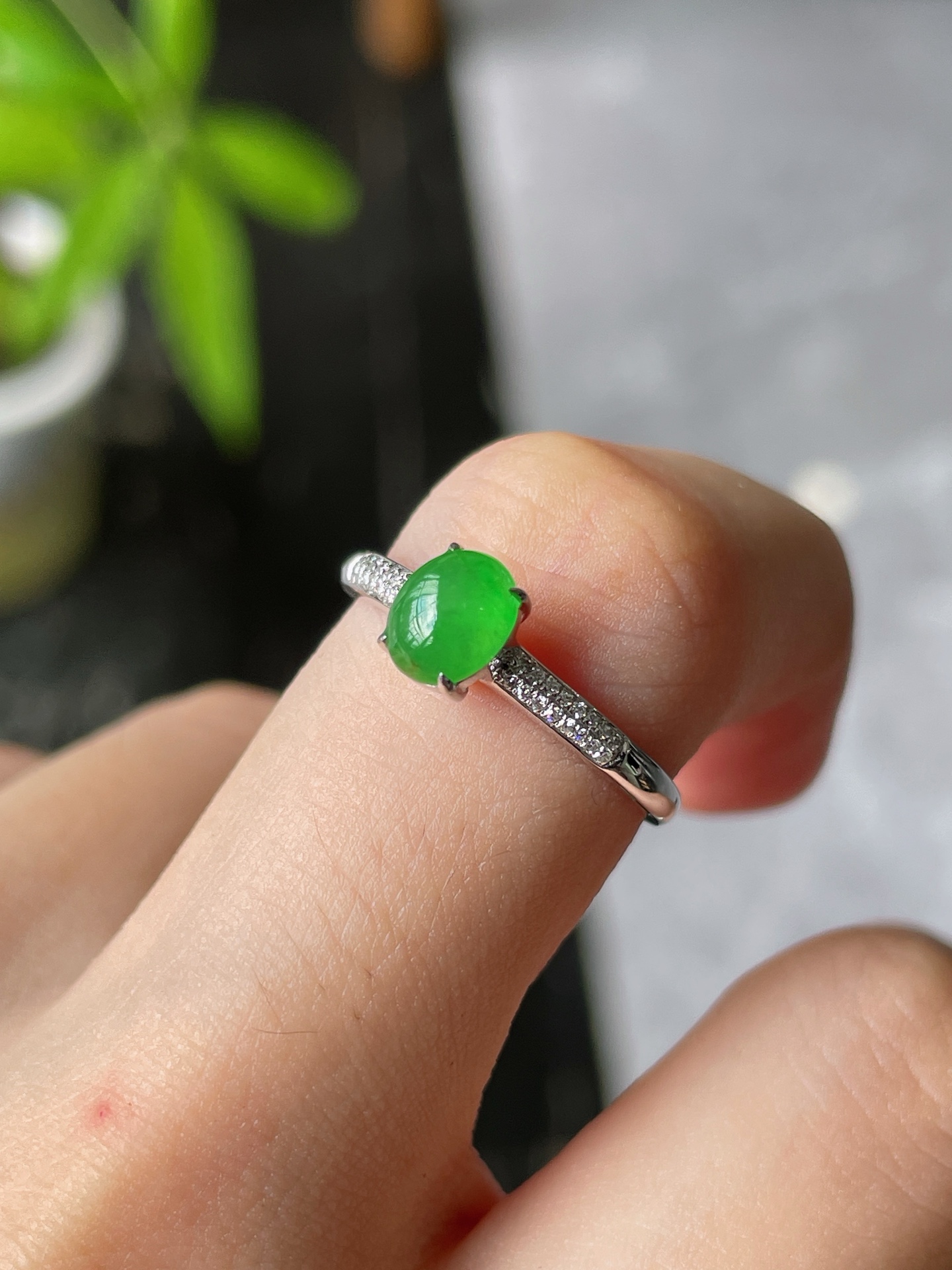 18k金钻豪镶冰阳绿蛋面戒指, 裸石6.4-5-2.6mm S16