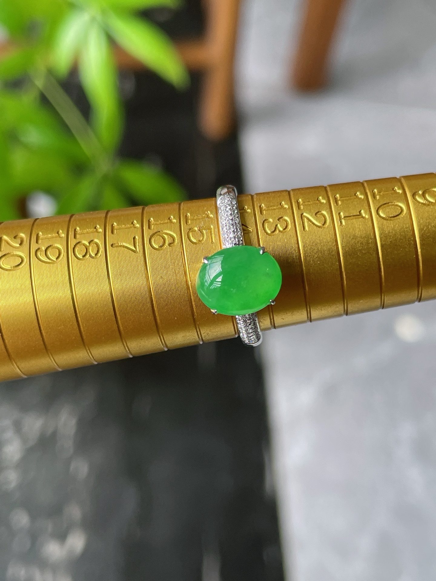 18k金钻豪镶冰阳绿蛋面戒指, 裸石9.2-7.6-2.6mm S16