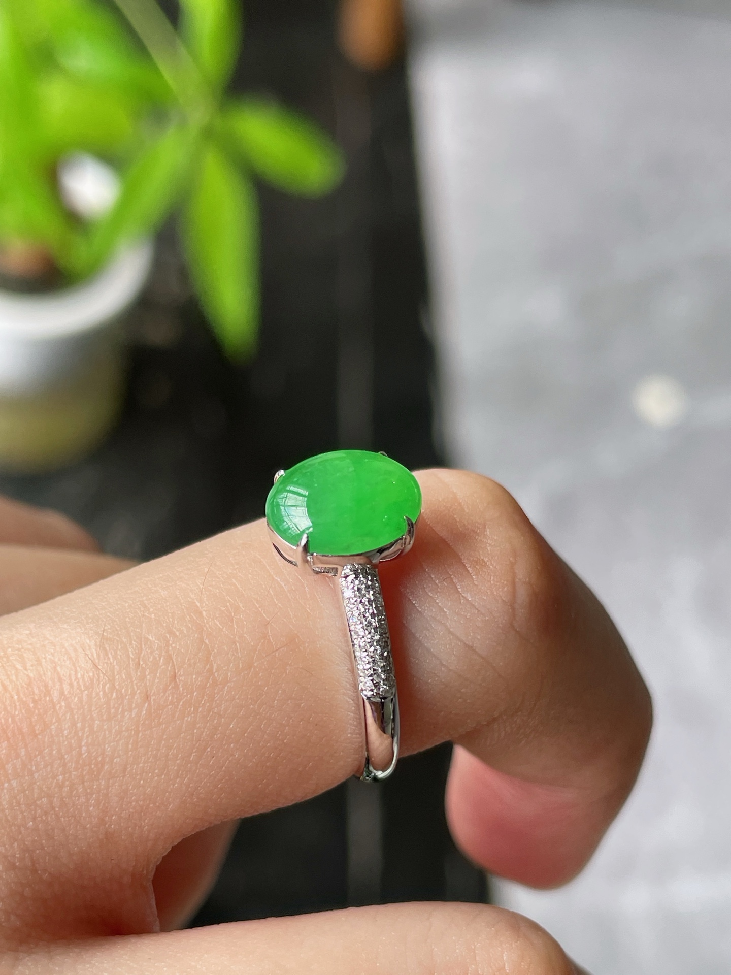 18k金钻豪镶冰阳绿蛋面戒指, 裸石9.2-7.6-2.6mm S16