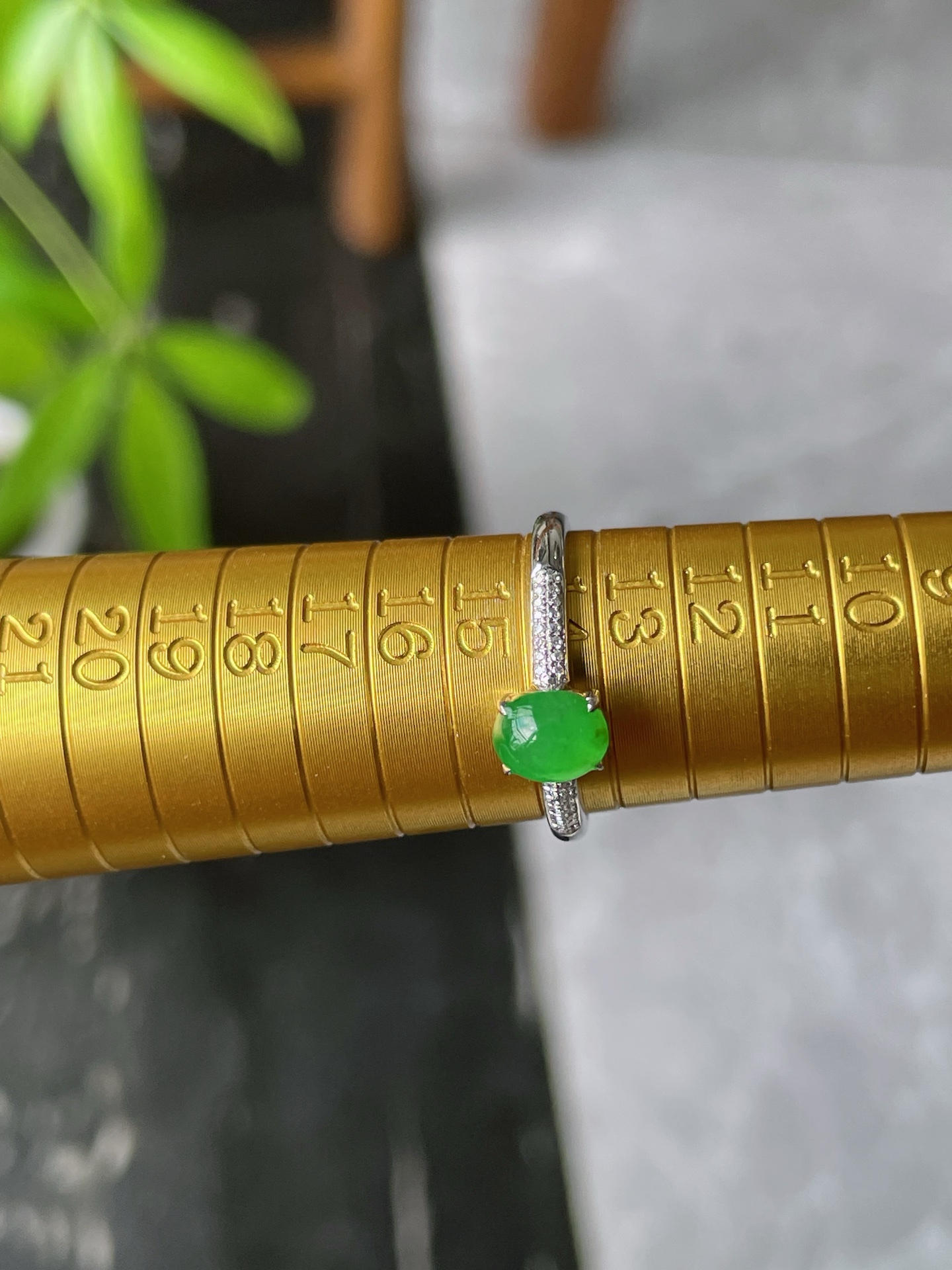 18k金钻豪镶冰阳绿蛋面戒指, 裸石6.4-5-2.6mm S16