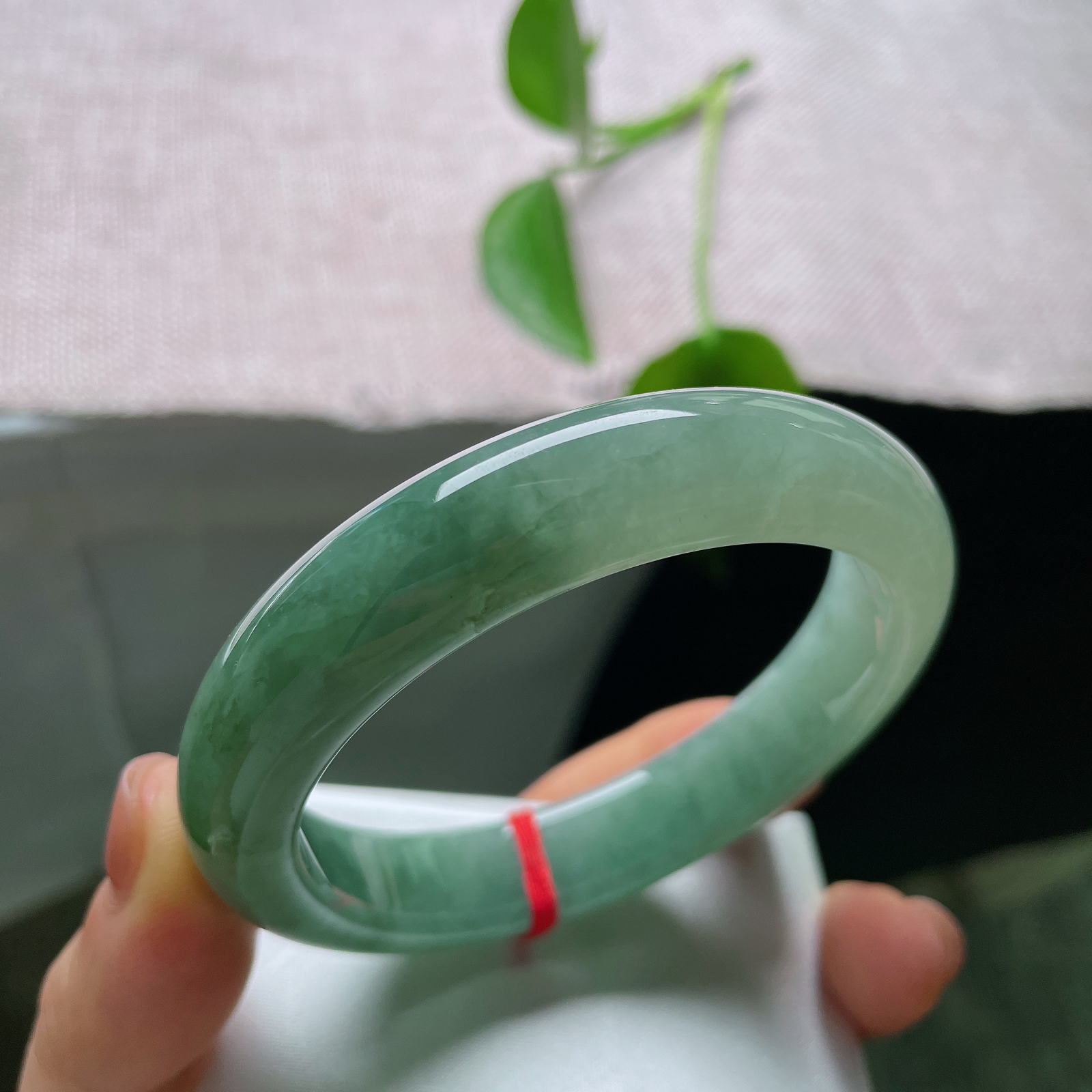 特惠活动，57.6/12.6/8.7，油青正圈，一点皮纹，一汪幽潭锁素环，整只镯子裹着温润的湖调青绿，不艳不烈，腕间自带一份安然清宁。ss56986a