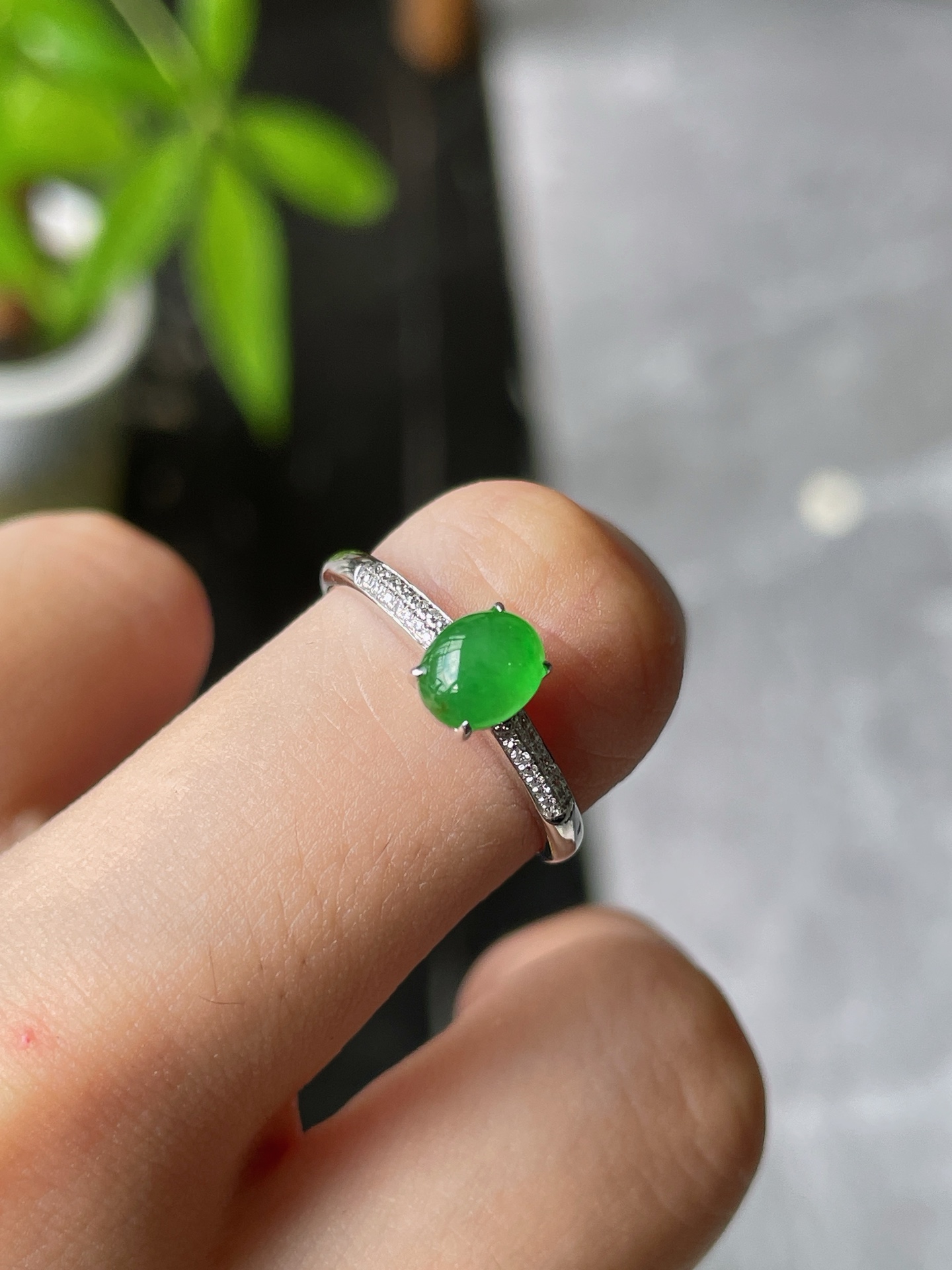18k金钻豪镶冰阳绿蛋面戒指, 裸石6.4-5-2.6mm S16