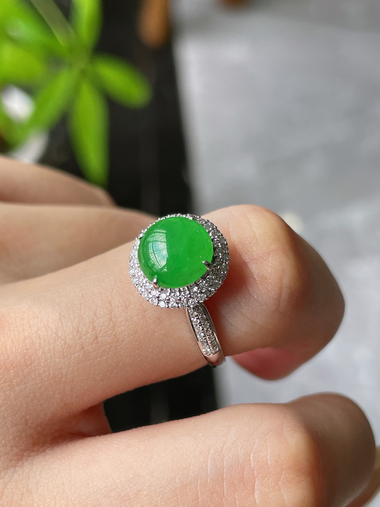 18k金钻豪镶冰阳绿蛋面戒指，裸石8.2-8.2-3mm S16