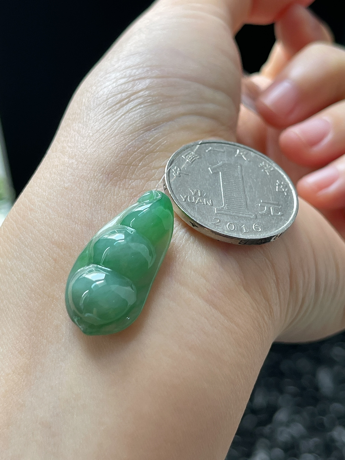 翡翠糯化种飘绿福豆