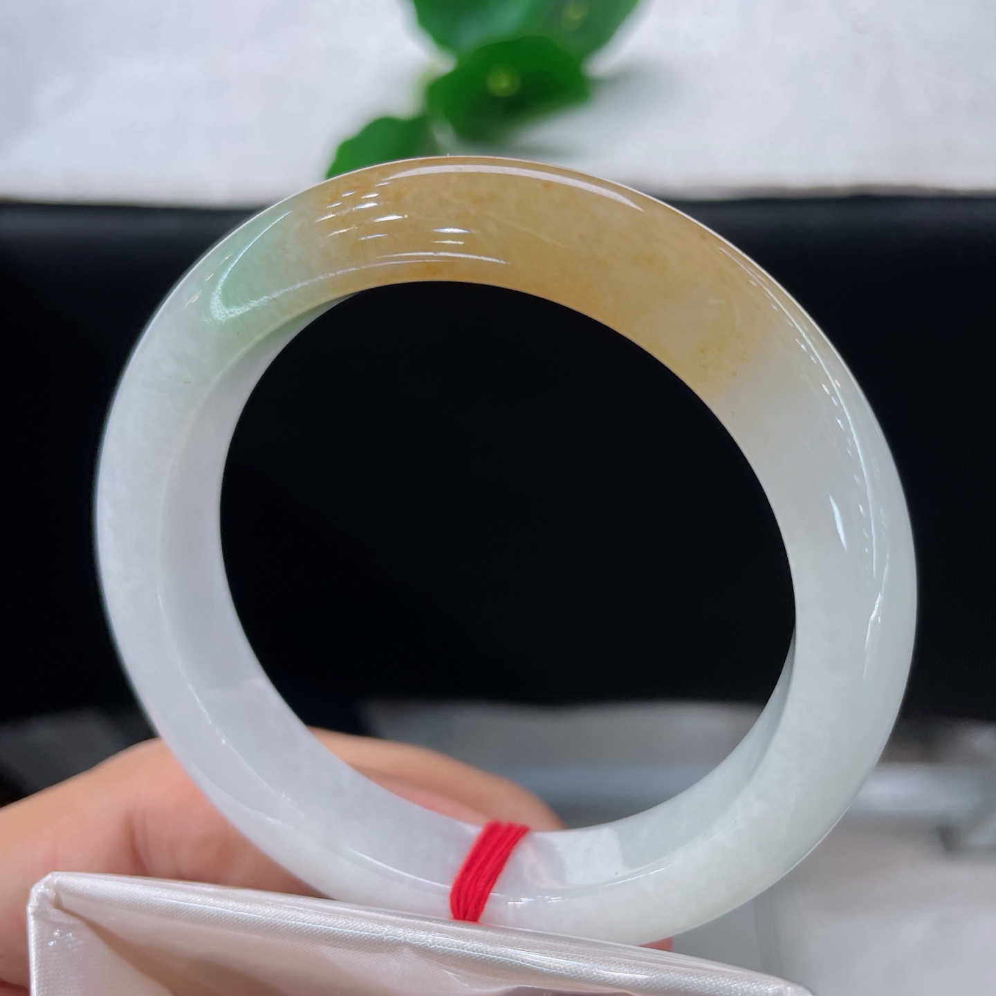 天然翡翠手镯 圈口56/11.9/9.0，黄加绿三彩正圈，55/56可戴，玉聚三色韵，黄翠落清环。无裂