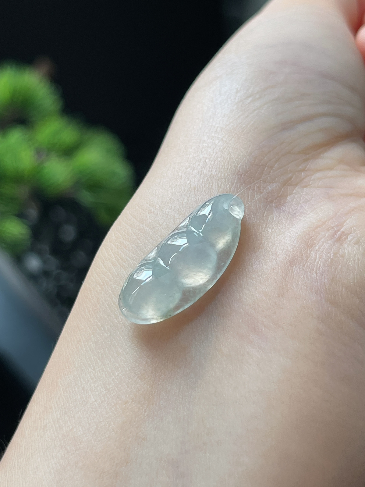 翡翠冰糯种淡绿色四季豆