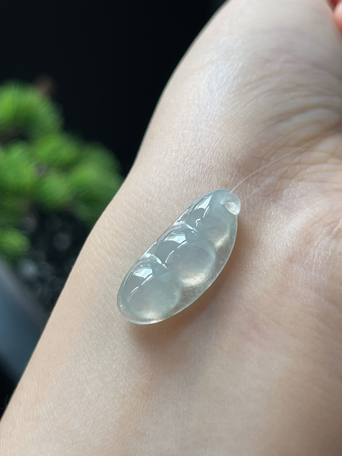 翡翠冰糯种淡绿色四季豆