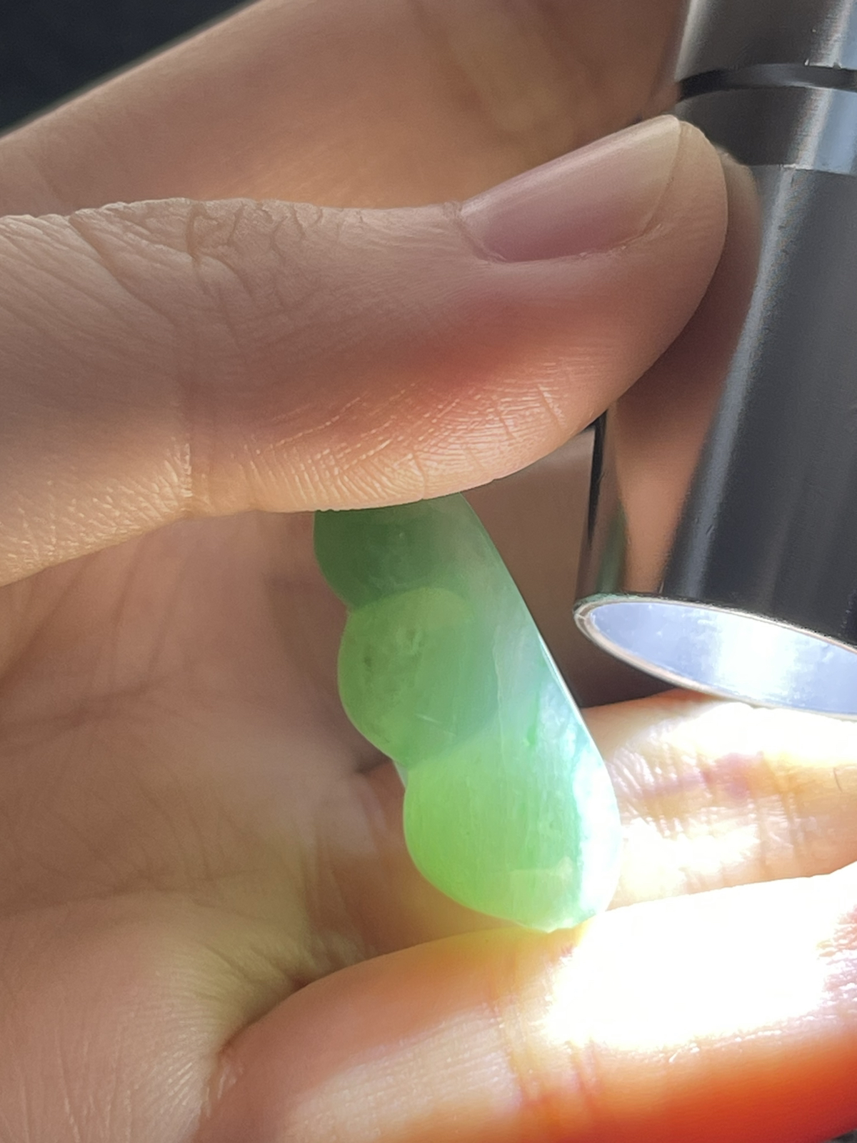 翡翠糯化种飘绿福豆
