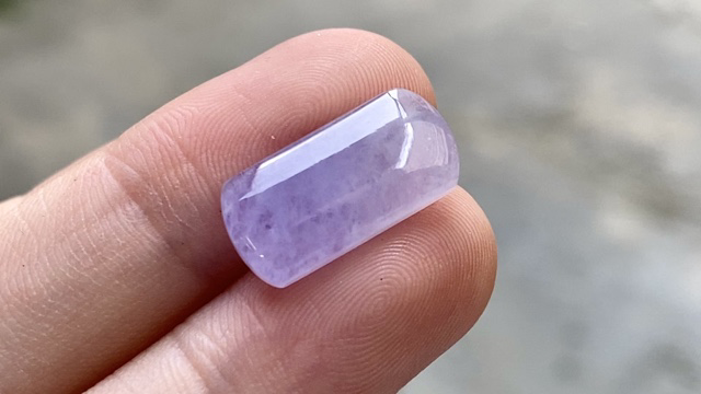 ️ 红春紫马鞍 16.8*8.2*3.5