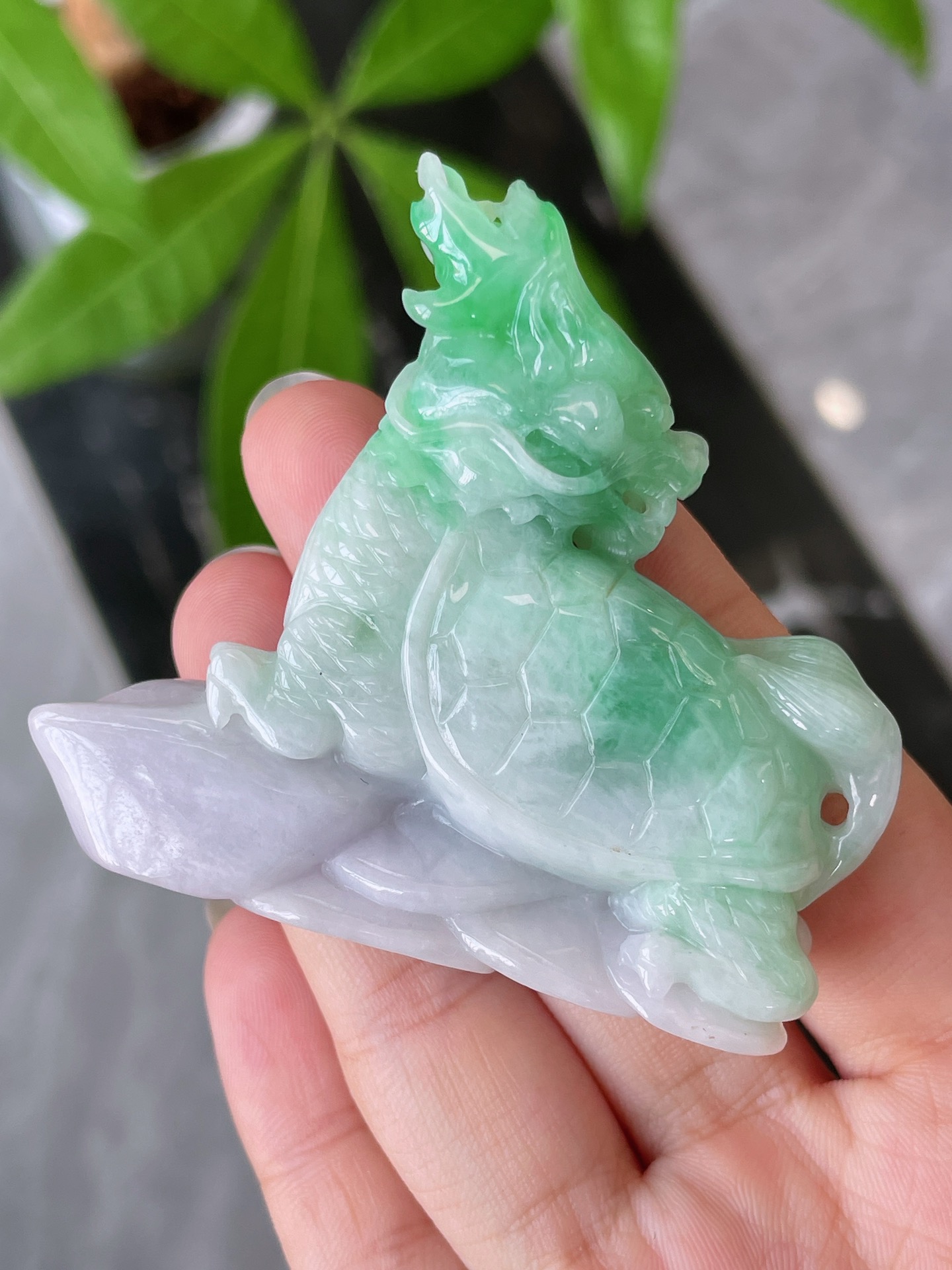 冰润春带彩龙龟小摆件 AD-048