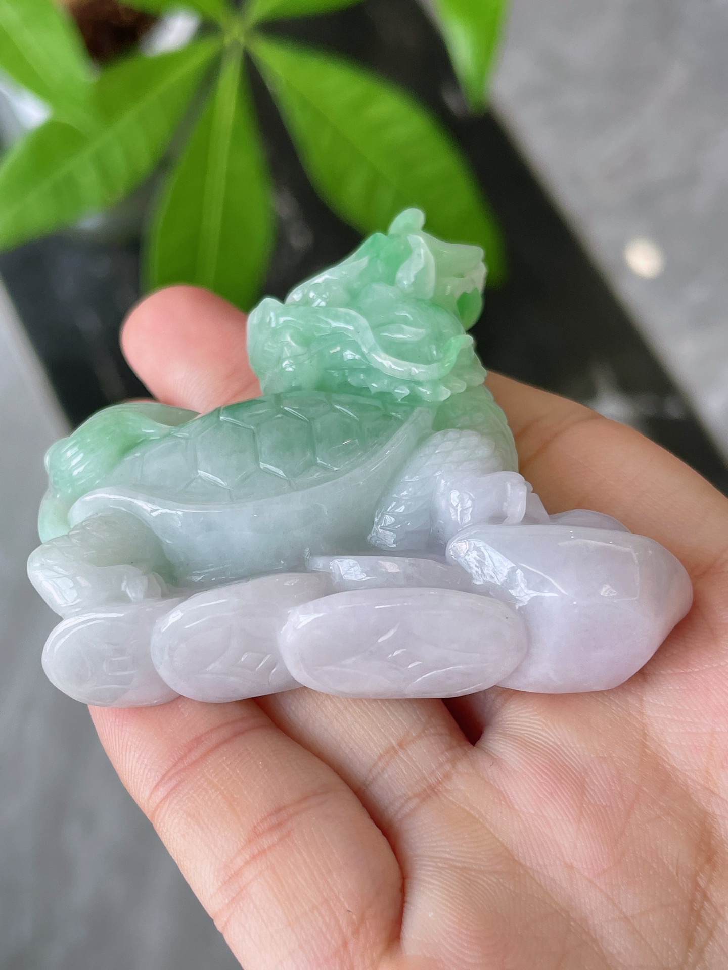 冰润春带彩龙龟小摆件 AD-048