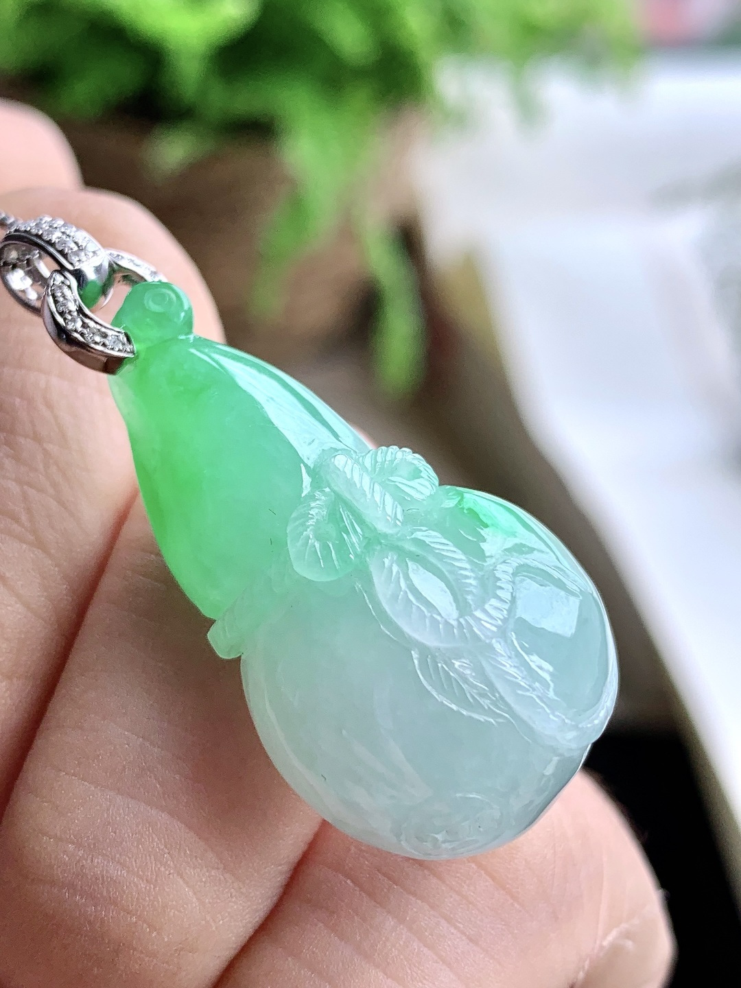 ️冰糯种飘阳绿葫芦吊坠 缅甸 18k金镶嵌 性比高 超厚 立体 41.8