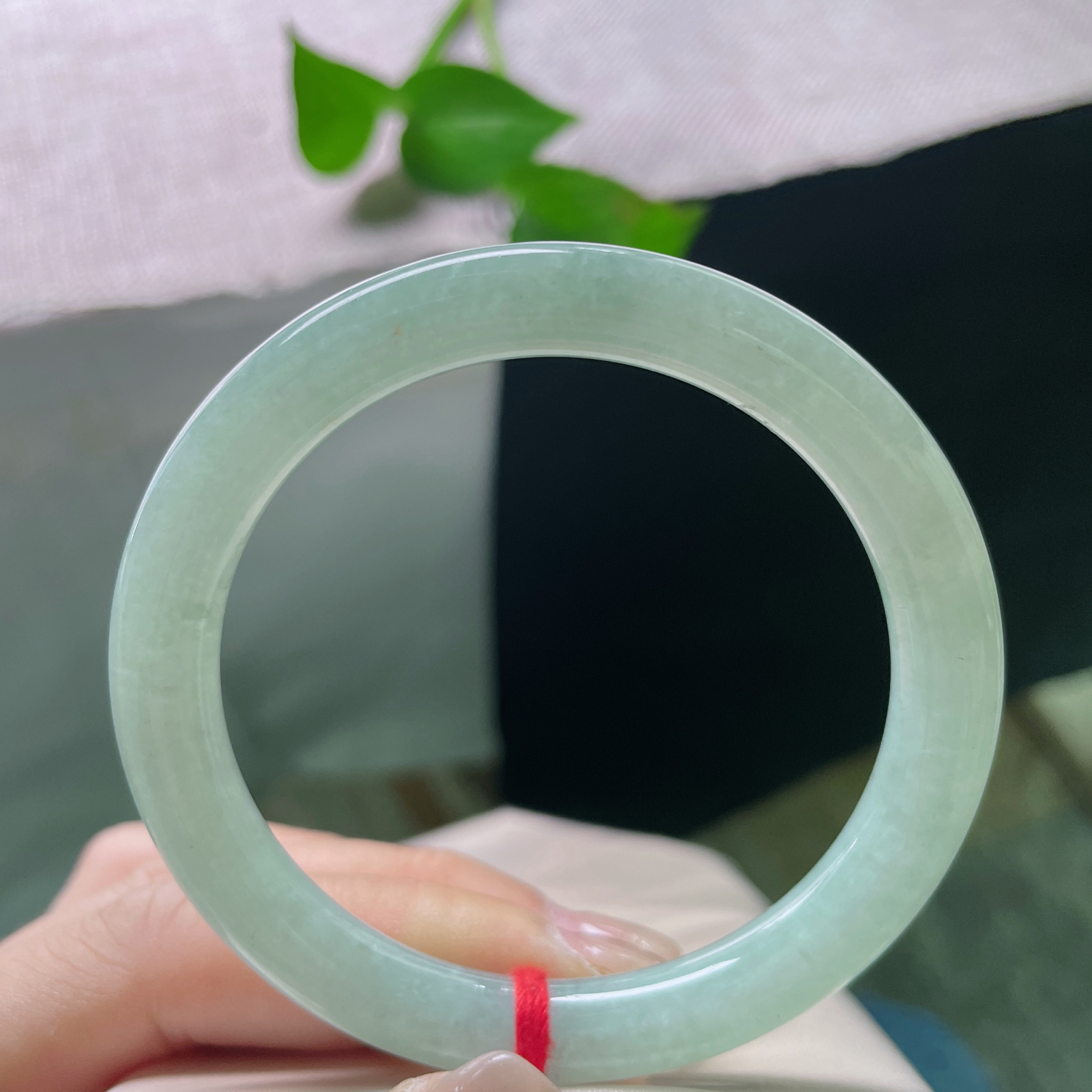 特惠活动，54.8/8.4，果绿底圆条，干净清爽，淡雅倾心，种老，不失甜美，皮纹。ss56639a