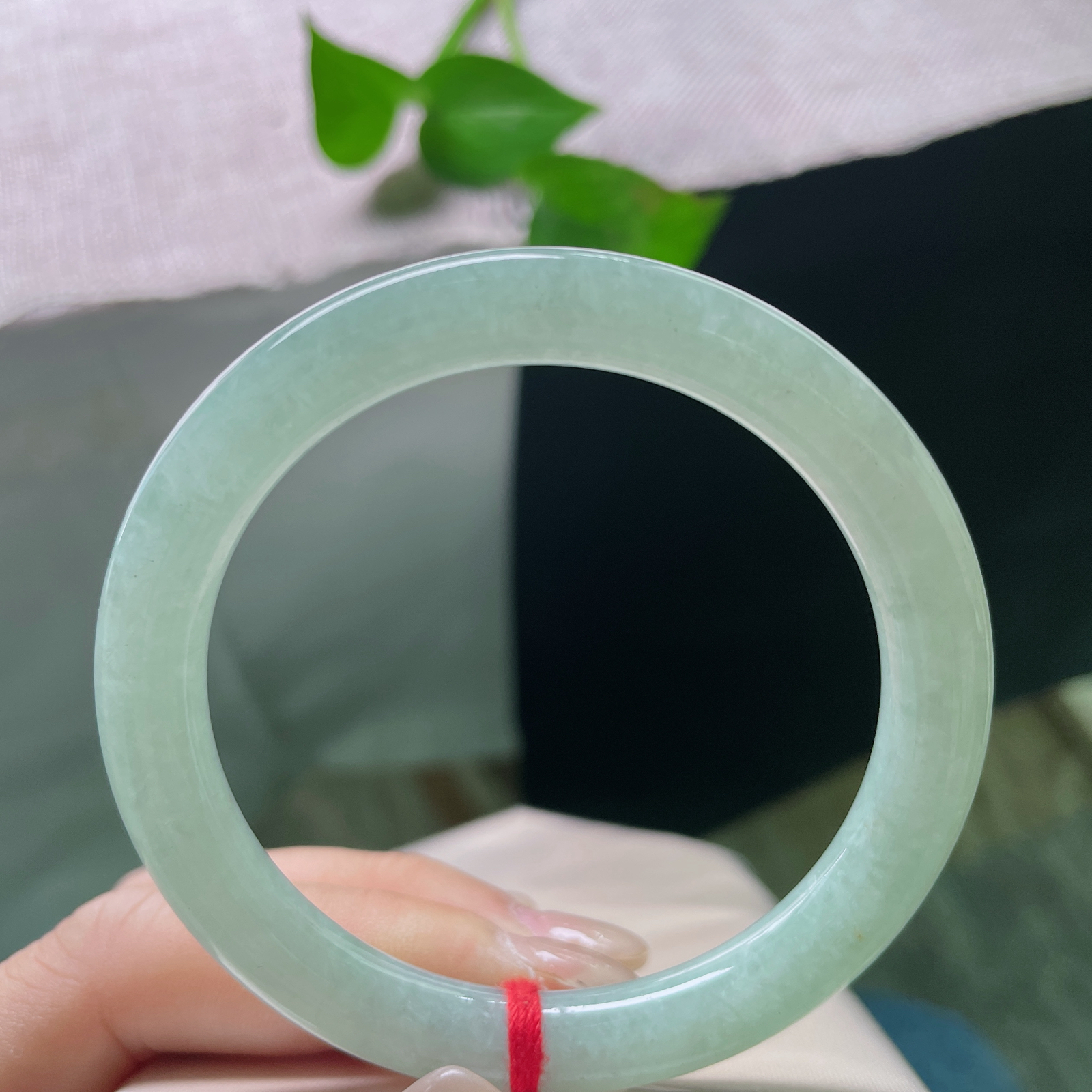 特惠活动，54.8/8.4，果绿底圆条，干净清爽，淡雅倾心，种老，不失甜美，皮纹。ss56639a